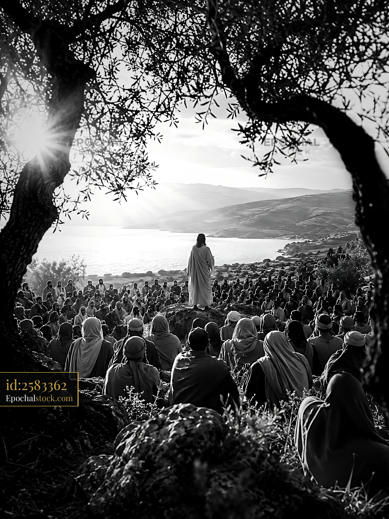 Watermarked full-resolution preview of Crowd listening to a speaker by the water in a natural setting
