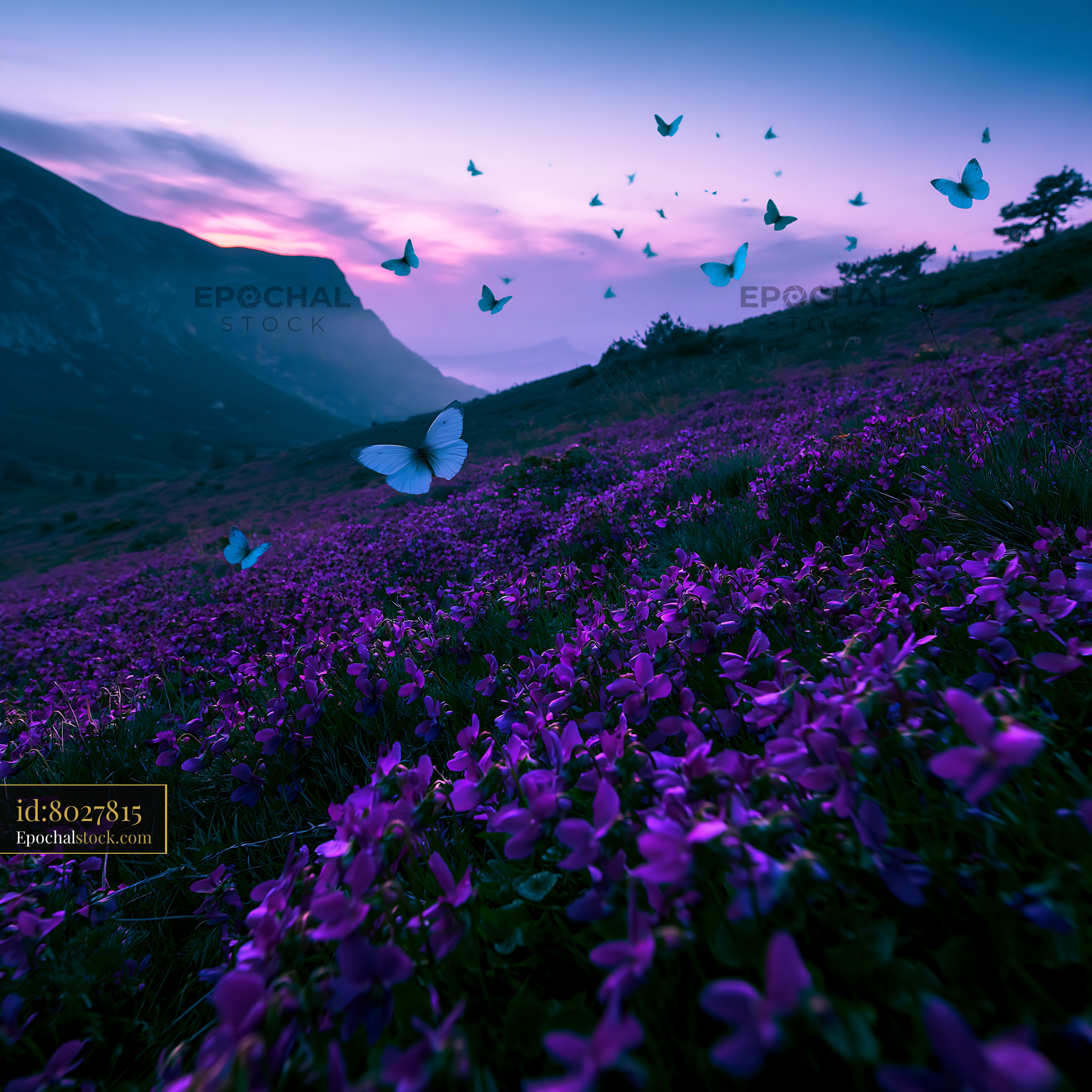 Foxglove in Meadow at Dusk With Butterflies - stock photo