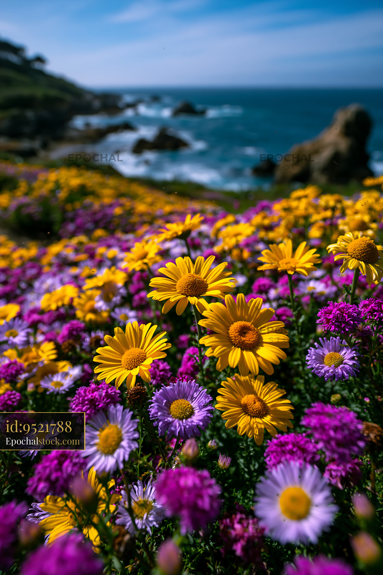 Watermarked full-resolution preview of Vibrant flowers along the coastline in daytime