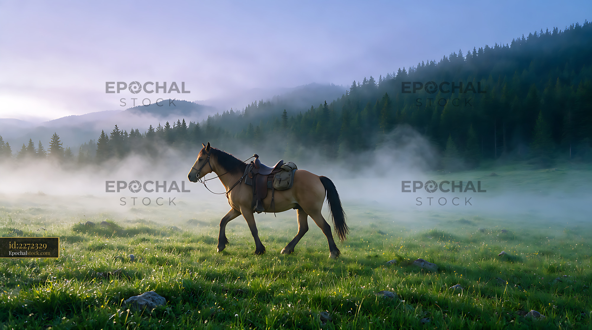 Watermarked full-resolution preview of Horse in misty meadow beneath forested mountains