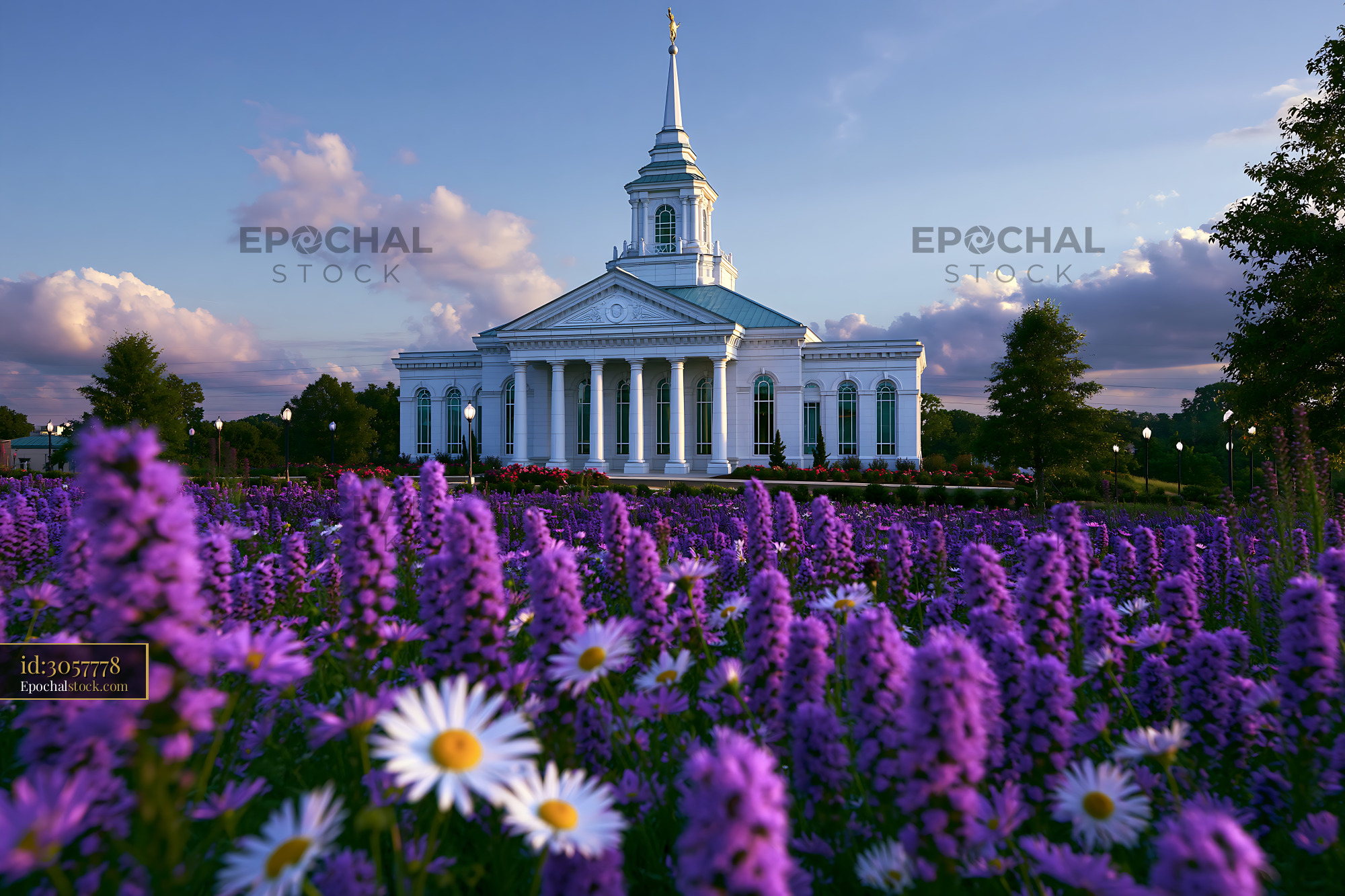 Watermarked full-resolution preview of Church surrounded by purple flowers during sunset