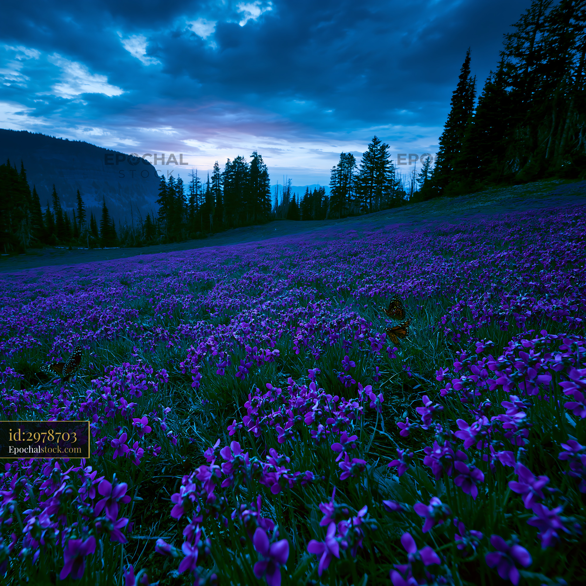 Watermarked full-resolution preview of Violet flowers blanket a field under cloudy sky