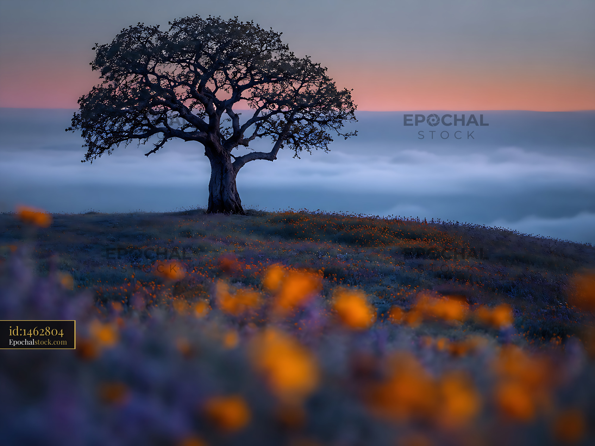 Tree Stands Alone on a Hill With Flowers in the Sunset Light - stock photo