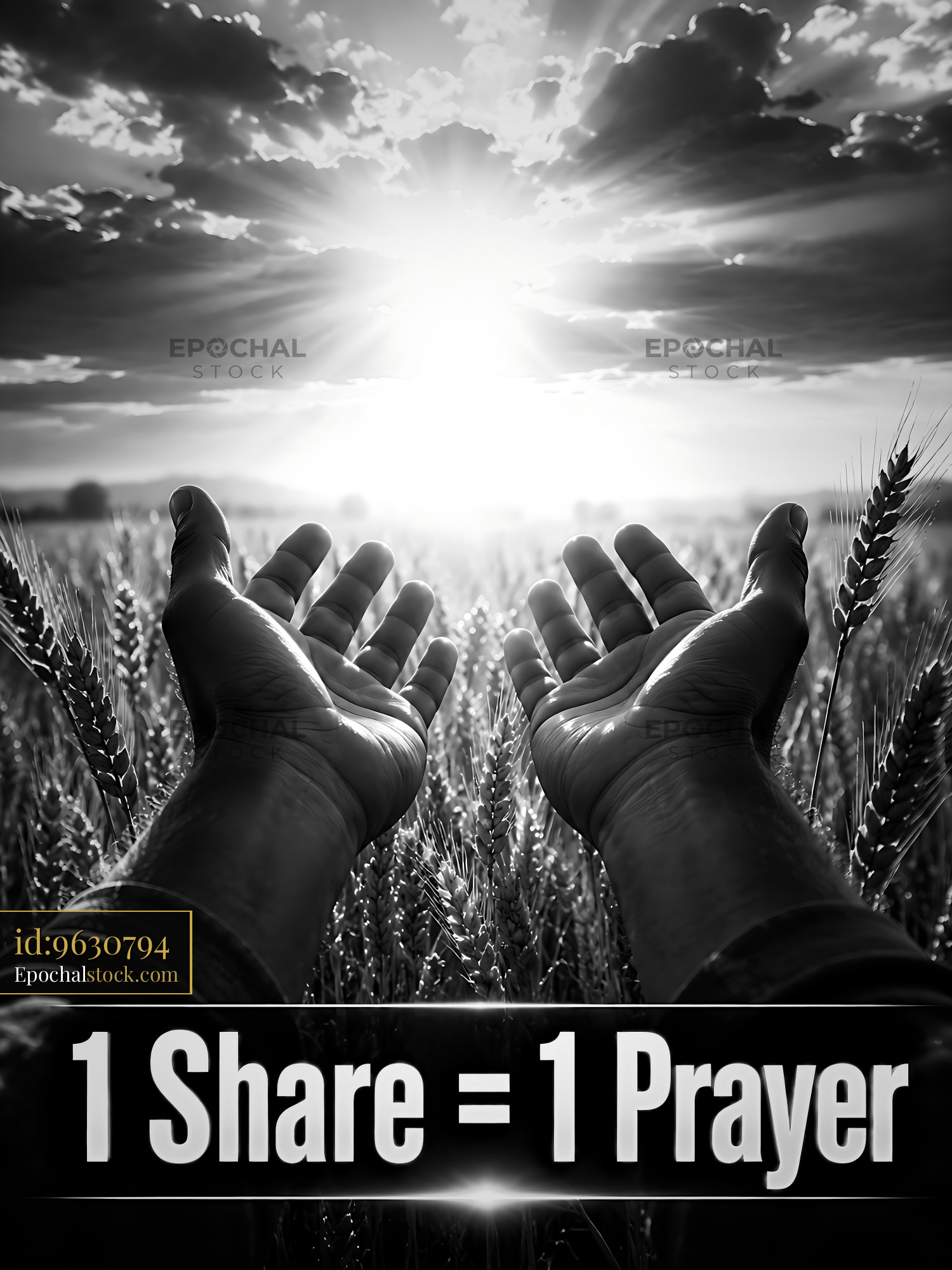Watermarked full-resolution preview of Hands raised in wheat field with sunset sky in background