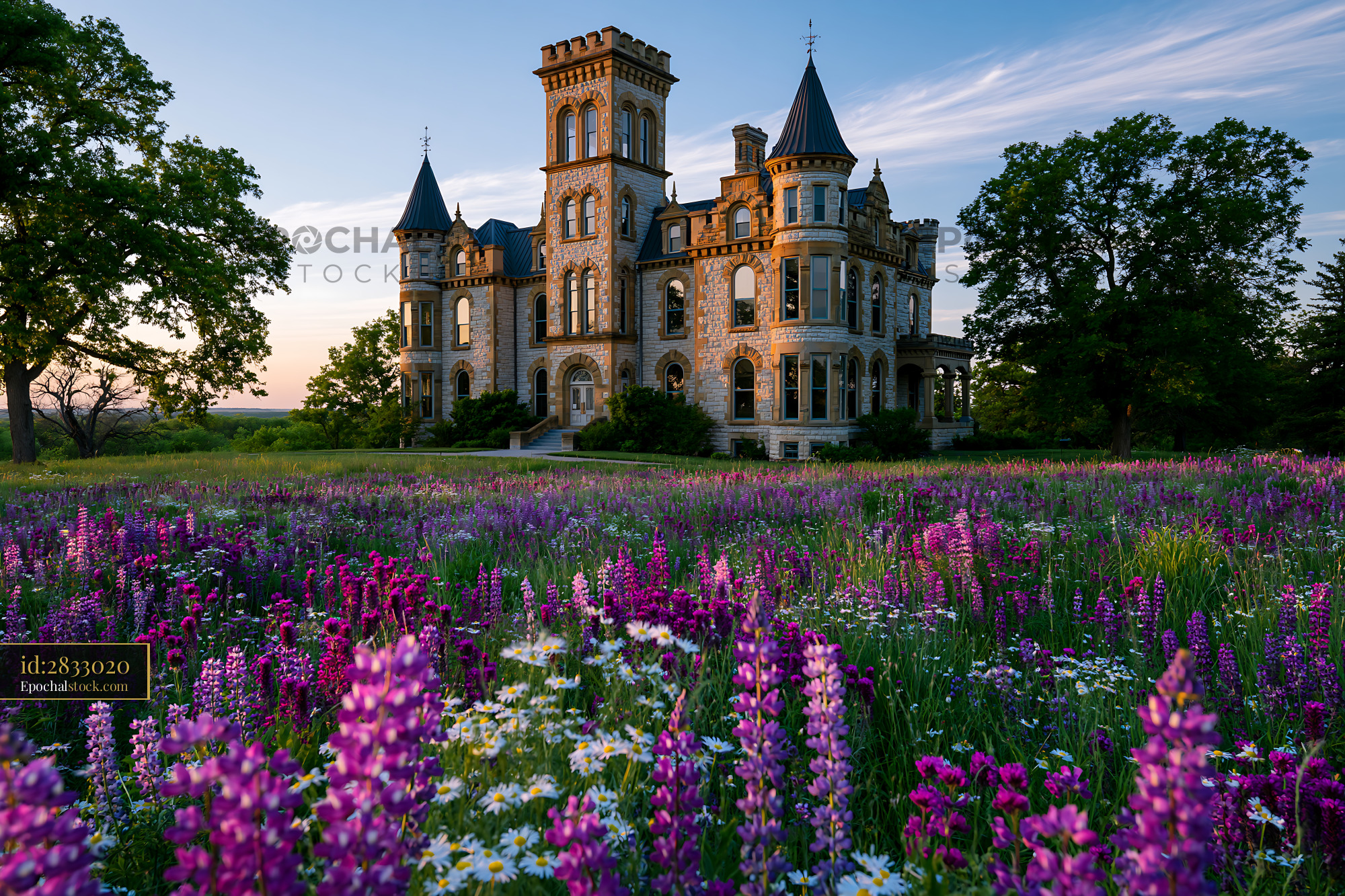 Watermarked full-resolution preview of Historic mansion surrounded by flowers at sunset