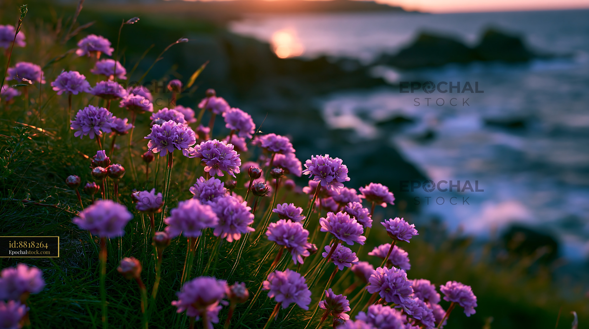 Watermarked full-resolution preview of Flowers by the ocean at sunset