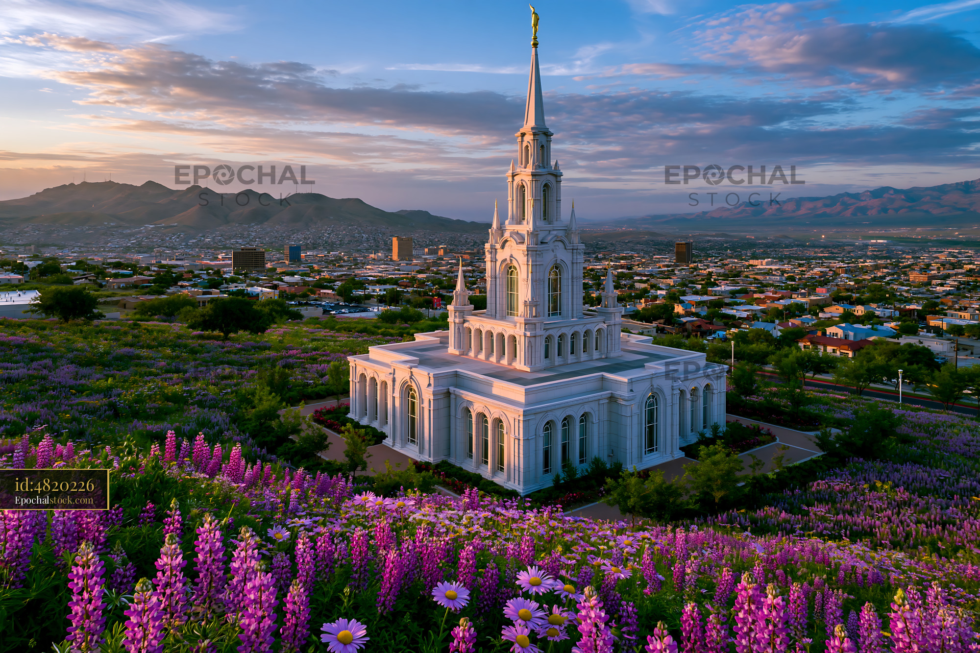 El Paso Temple With Blooming Flowers at Sunset in El Paso, USA - stock photo