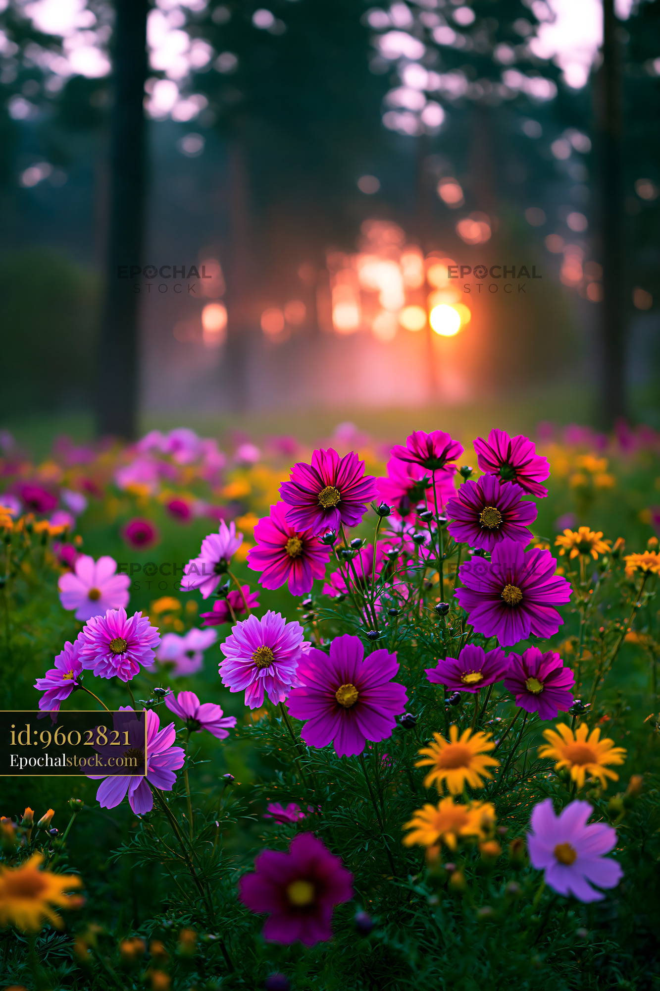 Watermarked full-resolution preview of Colorful flowers in a field at sunset