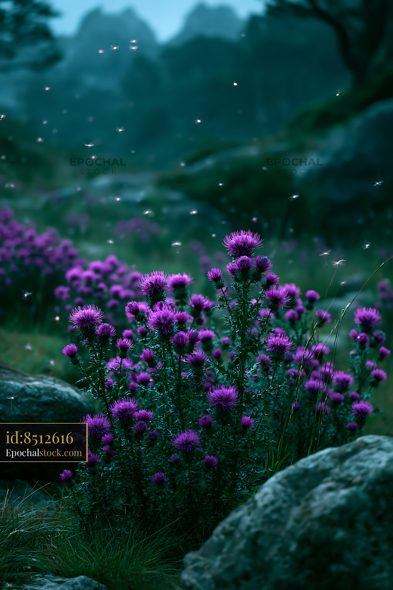 Thistle Blooming in Alpine Meadow at Dusk - stock photo
