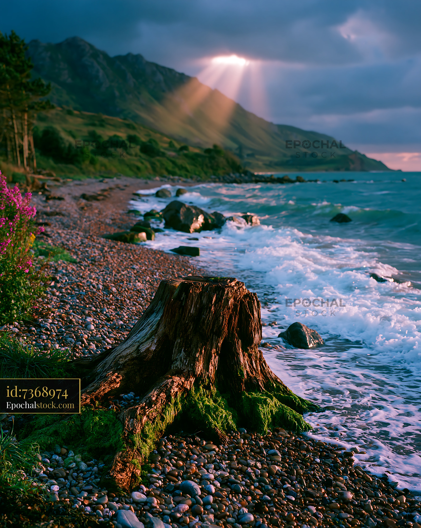 Watermarked full-resolution preview of Sunlight breaks through clouds over rocky beach with driftwood