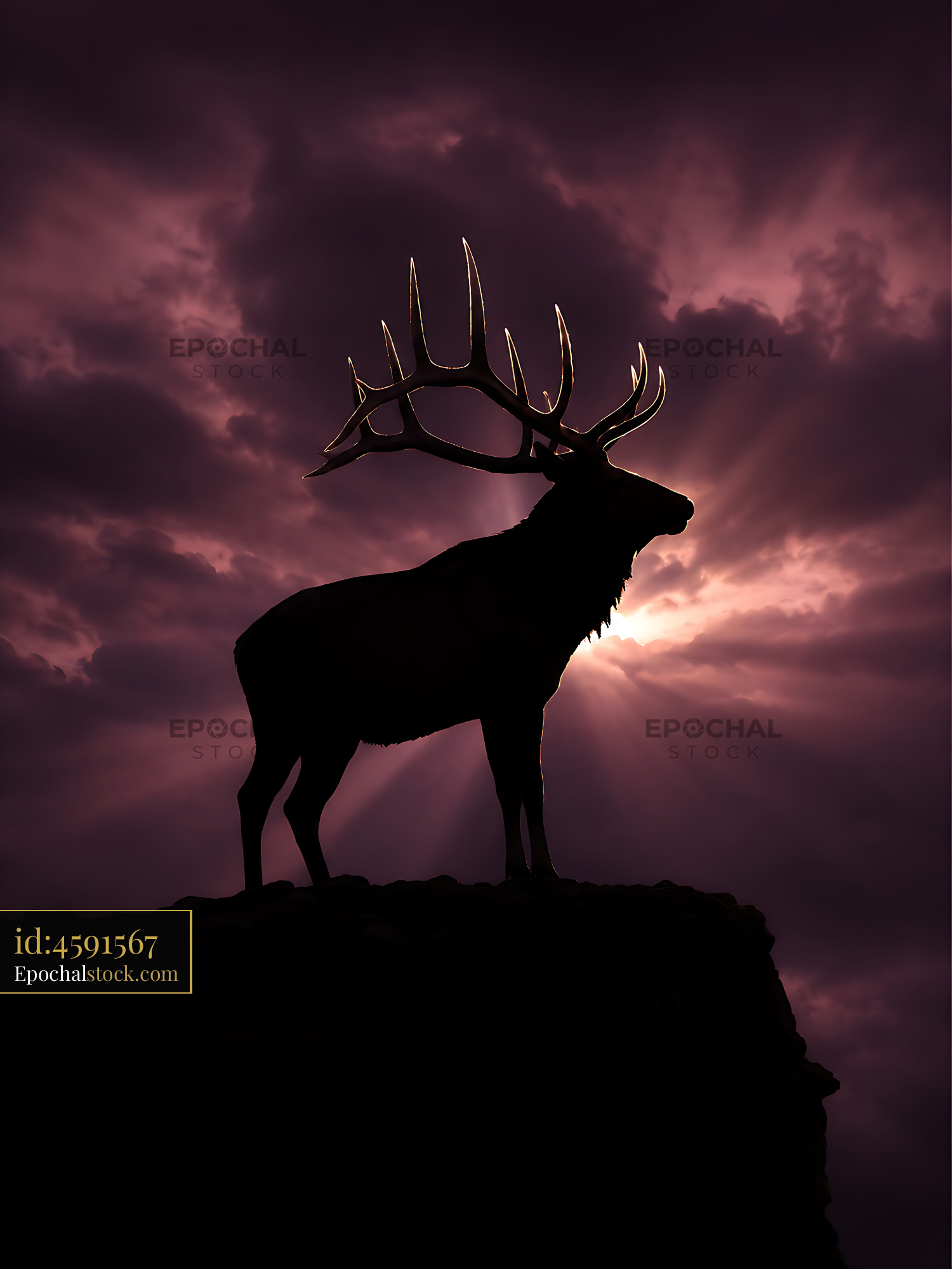 Watermarked full-resolution preview of Silhouette of a stag against a cloudy sunset sky