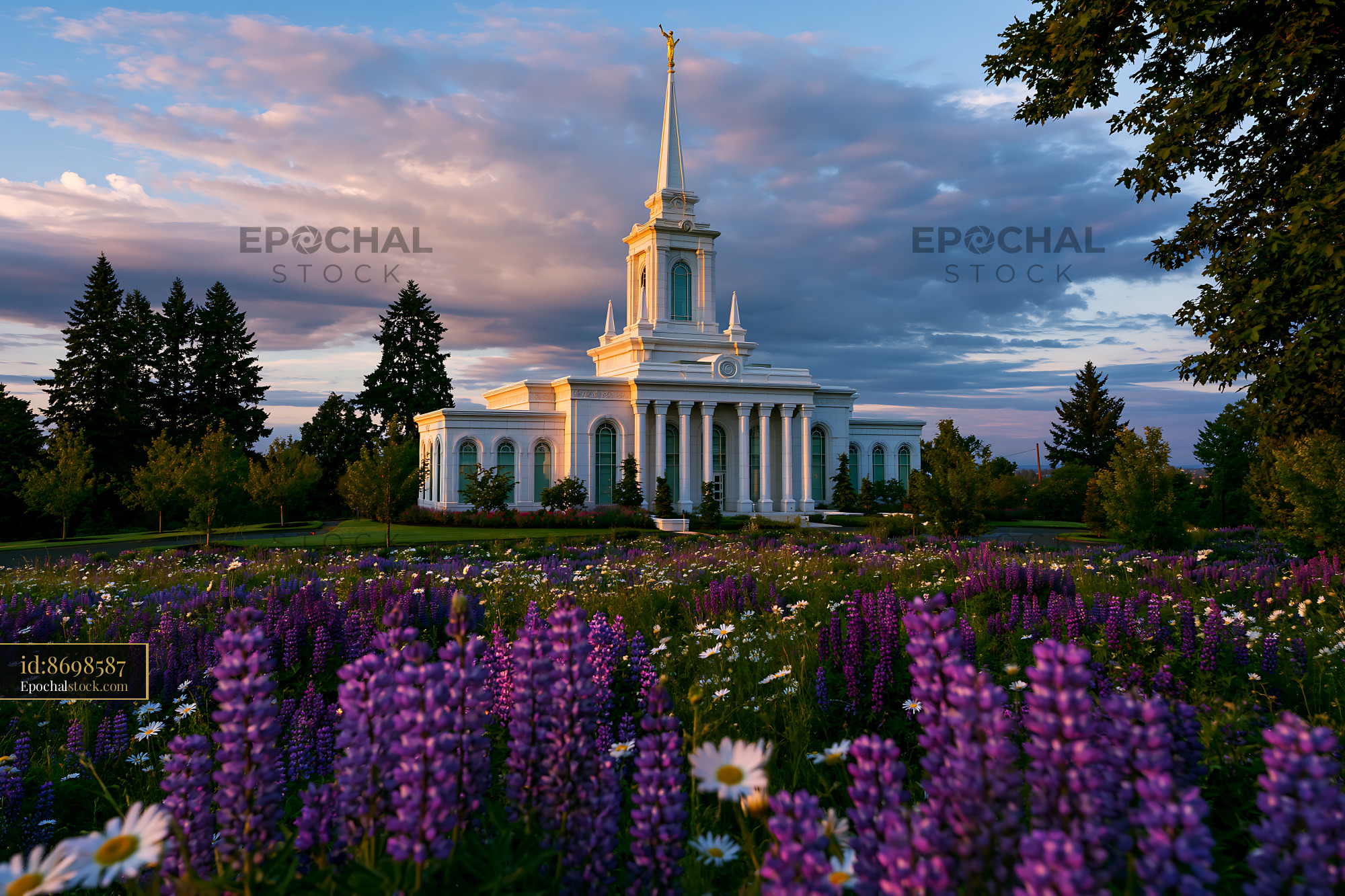 Watermarked full-resolution preview of Church building surrounded by flowers and trees at sunset