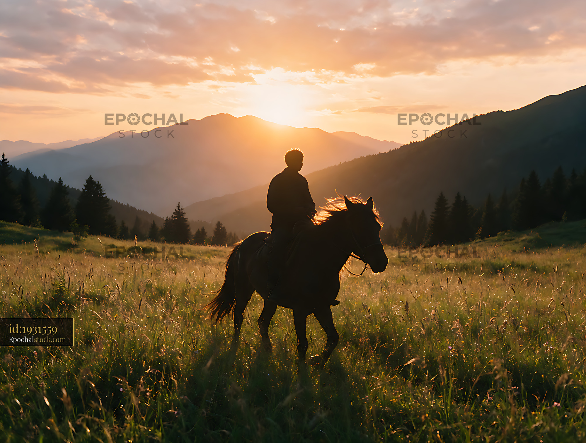 Watermarked full-resolution preview of Rider and horse crossing a mountain meadow at sunset