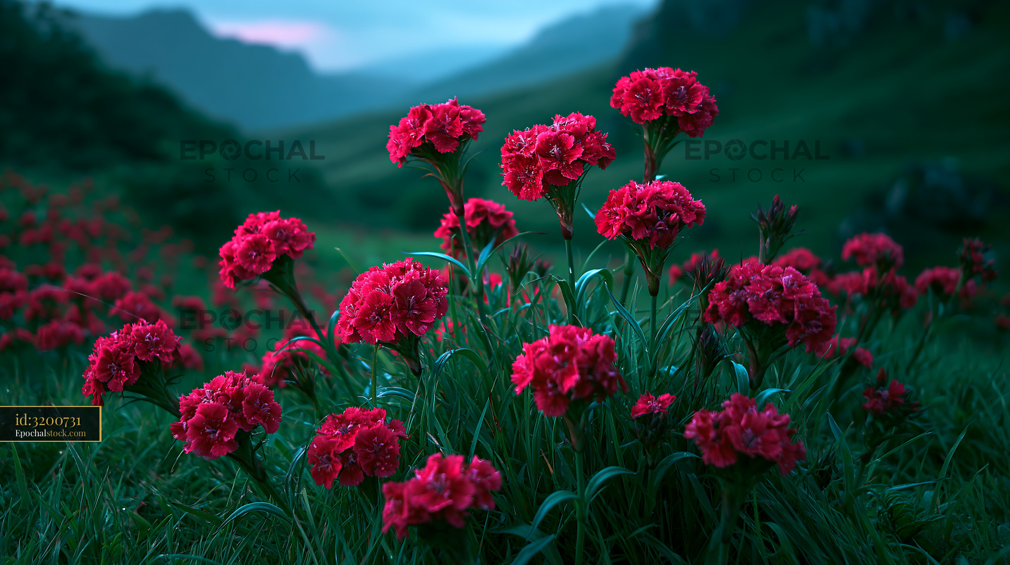 Watermarked full-resolution preview of Vibrant red flowers bloom in a green hillside landscape