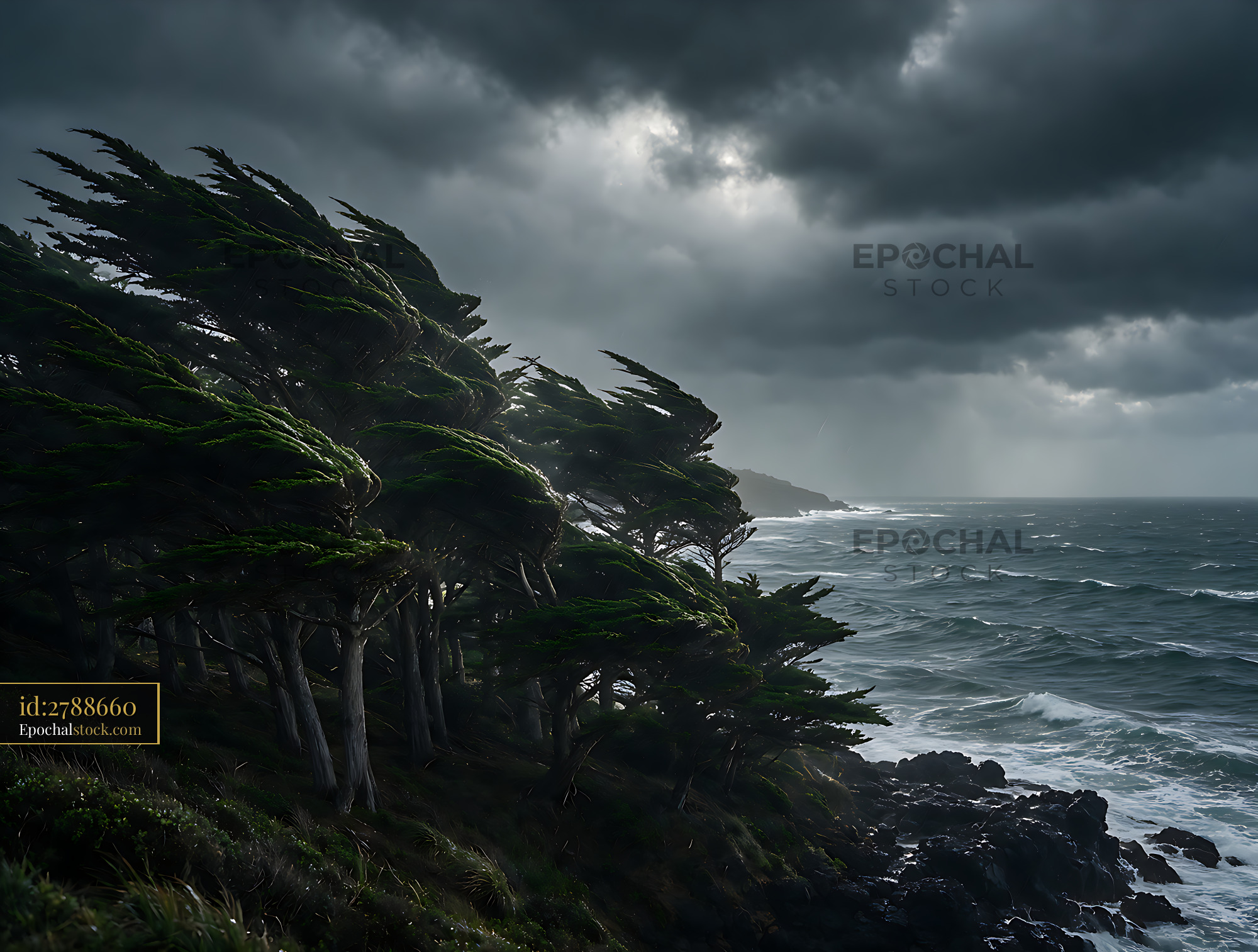 Watermarked full-resolution preview of Windswept coastal trees beneath storm clouds