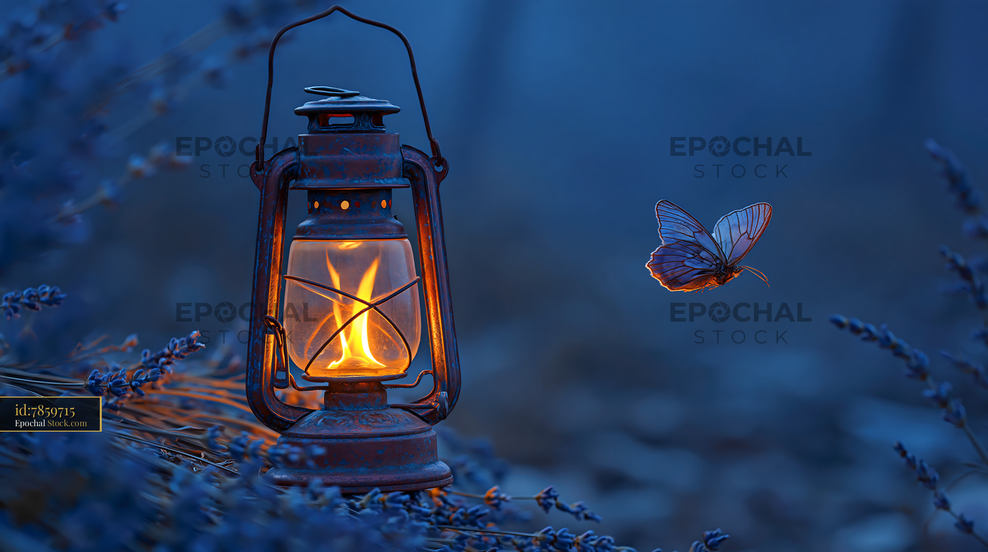 Vintage lantern glowing in a lavender field with a flying butterfly