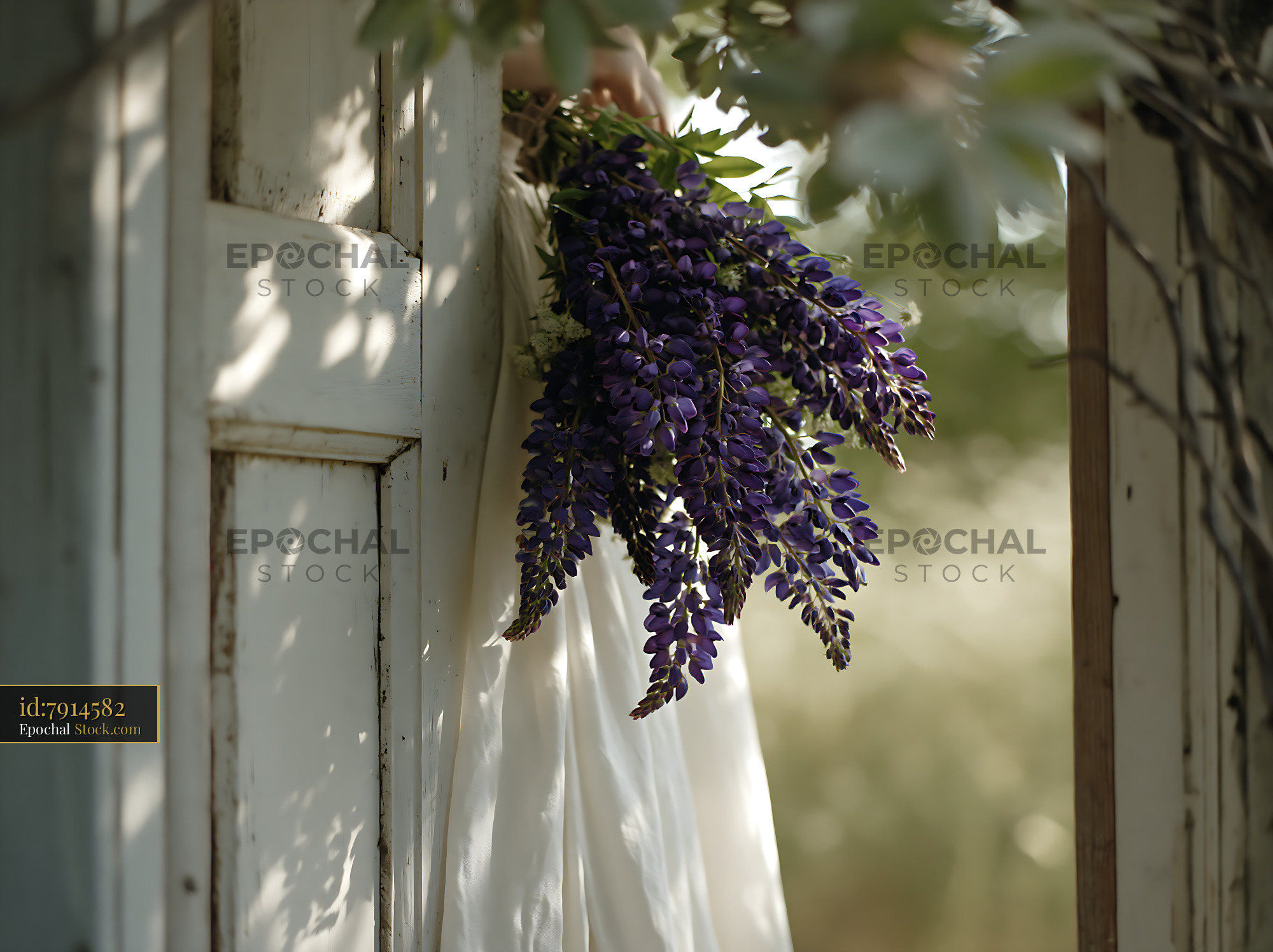 Bouquet of purple lupines held by woman in white dress at rustic door - stock photo