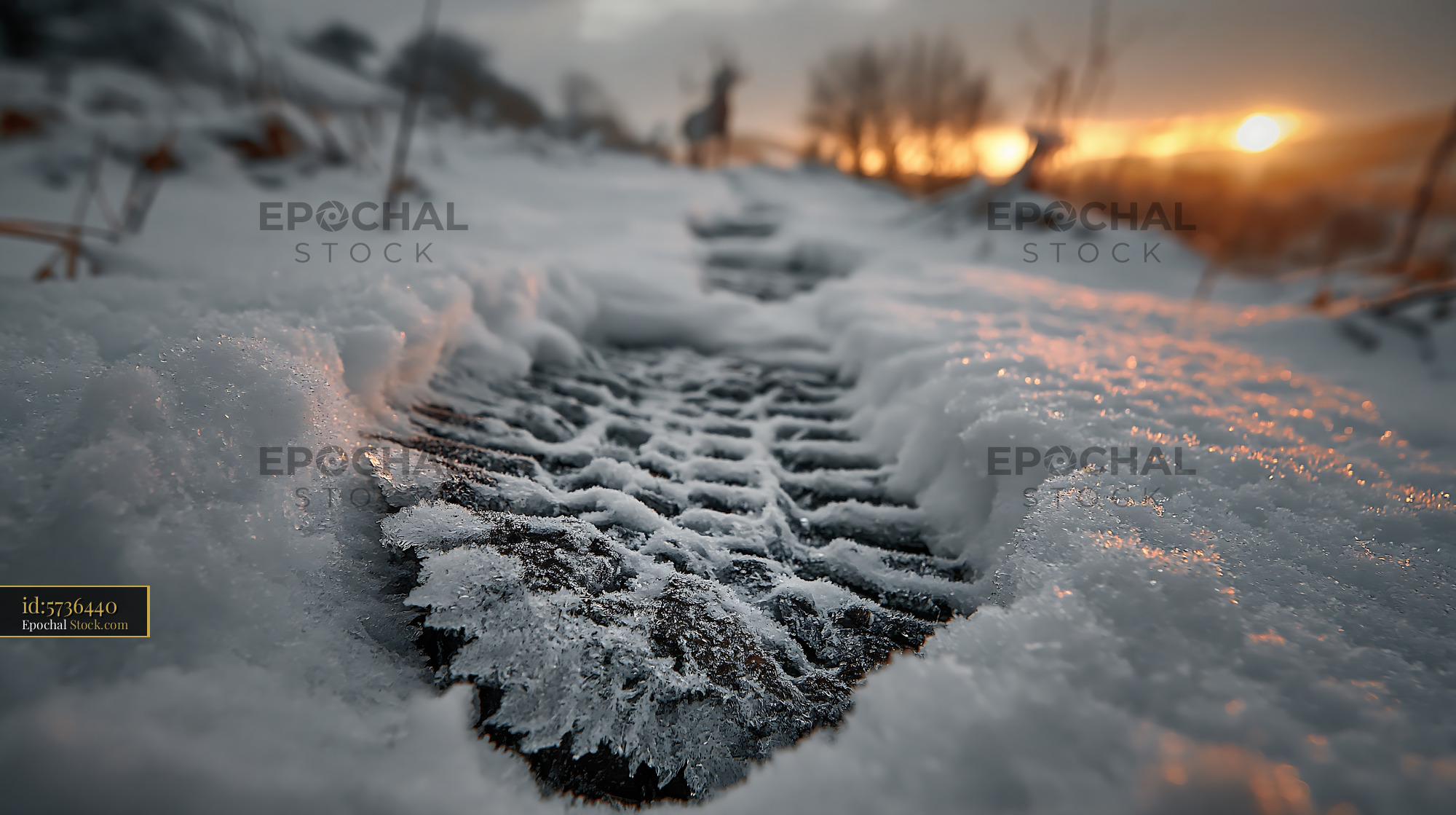 Tire track in fresh snow during golden hour winter sunset - stock photo