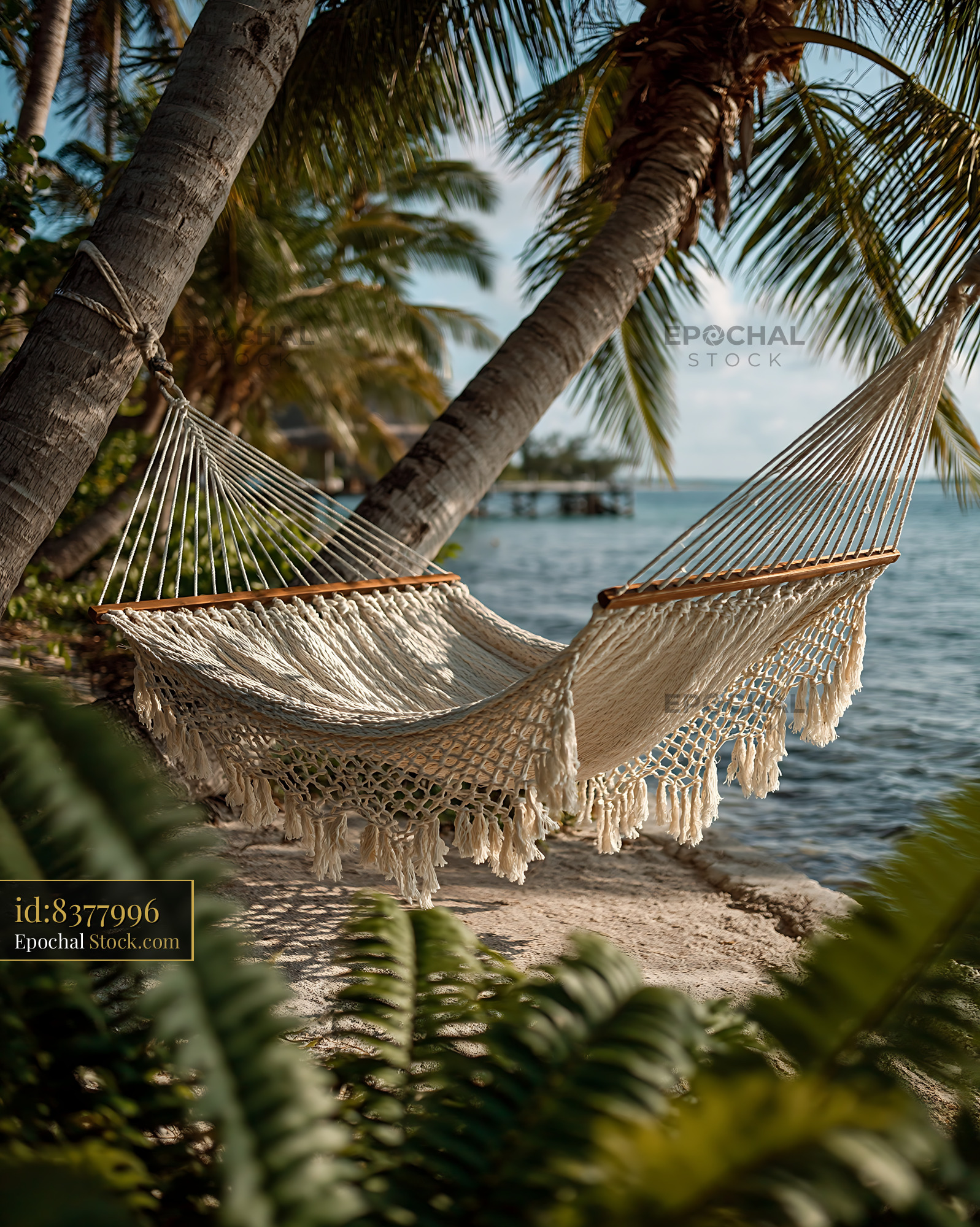 White macrame hammock between palm trees on a tropical beach - stock photo