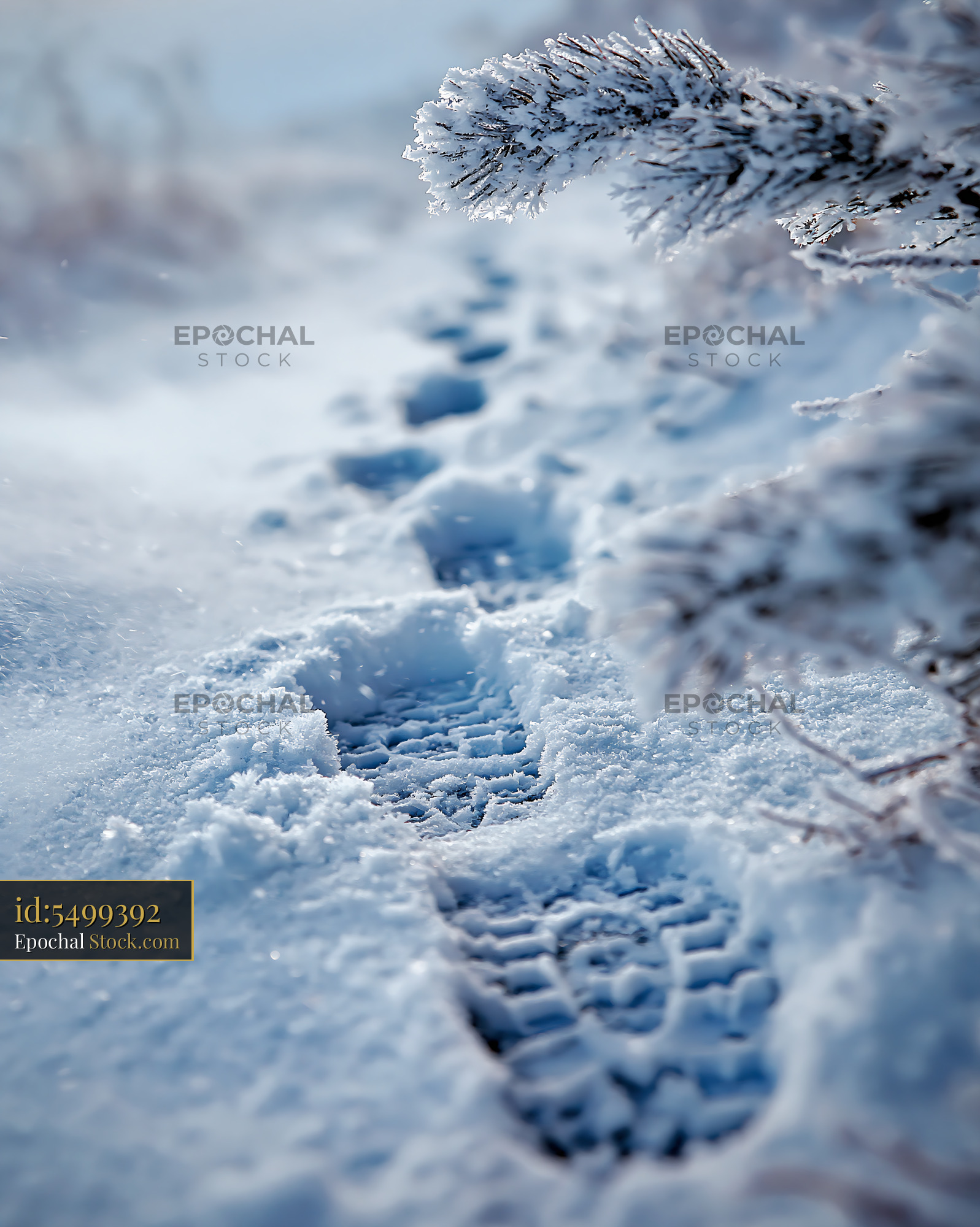Footprints in deep snow leading through a frozen winter landscape - stock photo