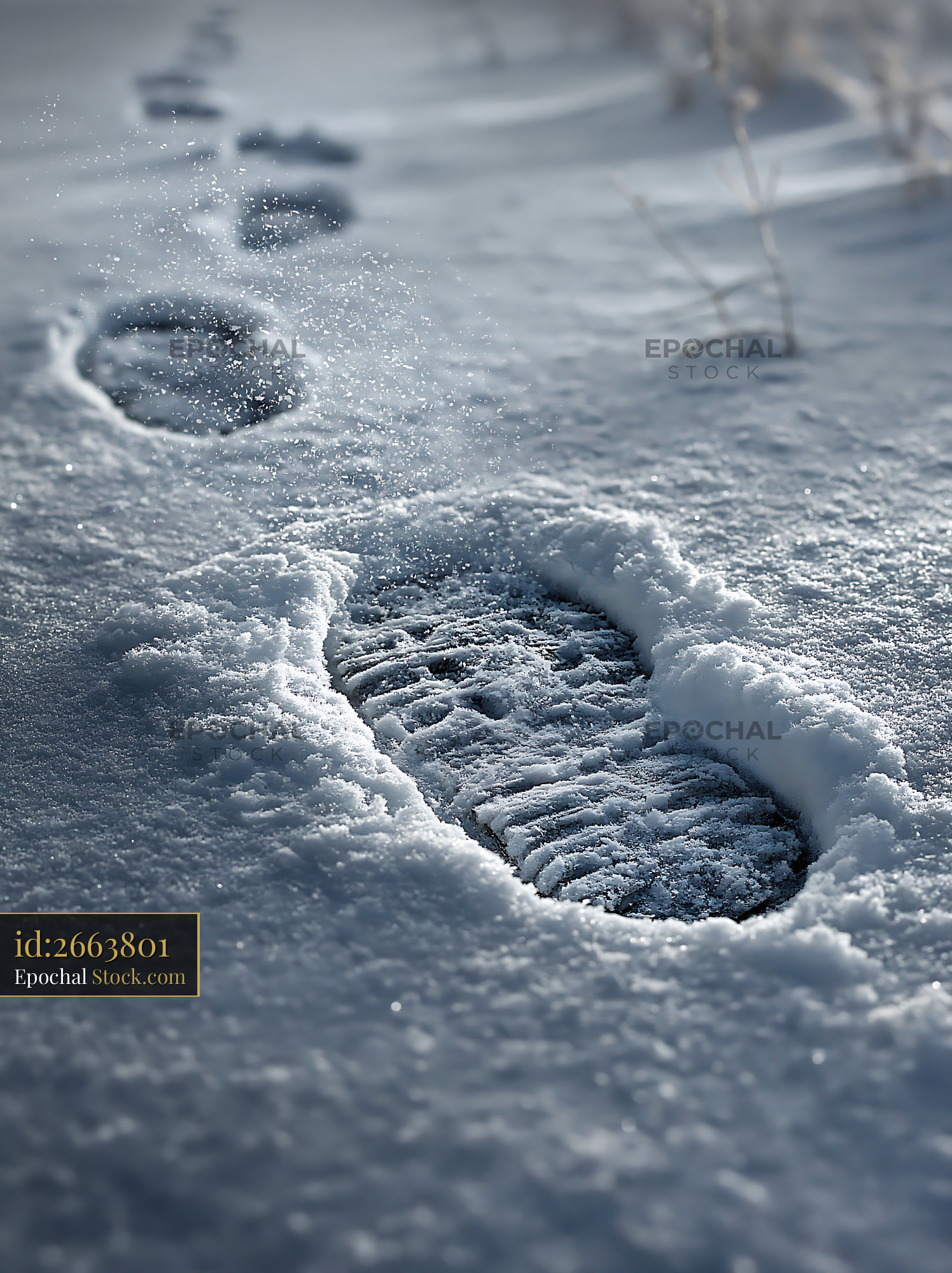 Footprints in deep snow leading into a bright winter landscape - stock photo