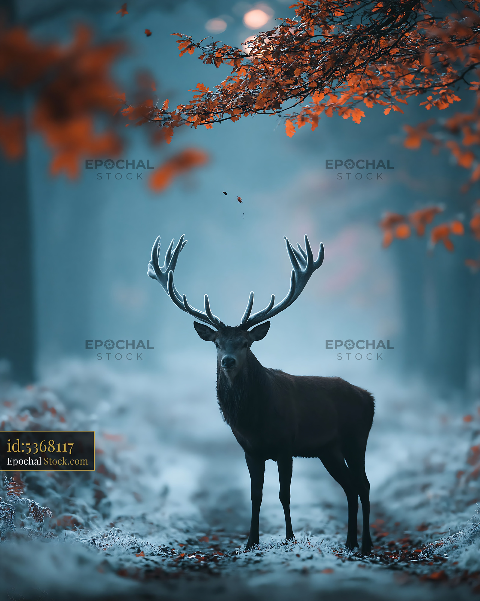 Majestic red deer stag in misty autumn forest with orange leaves