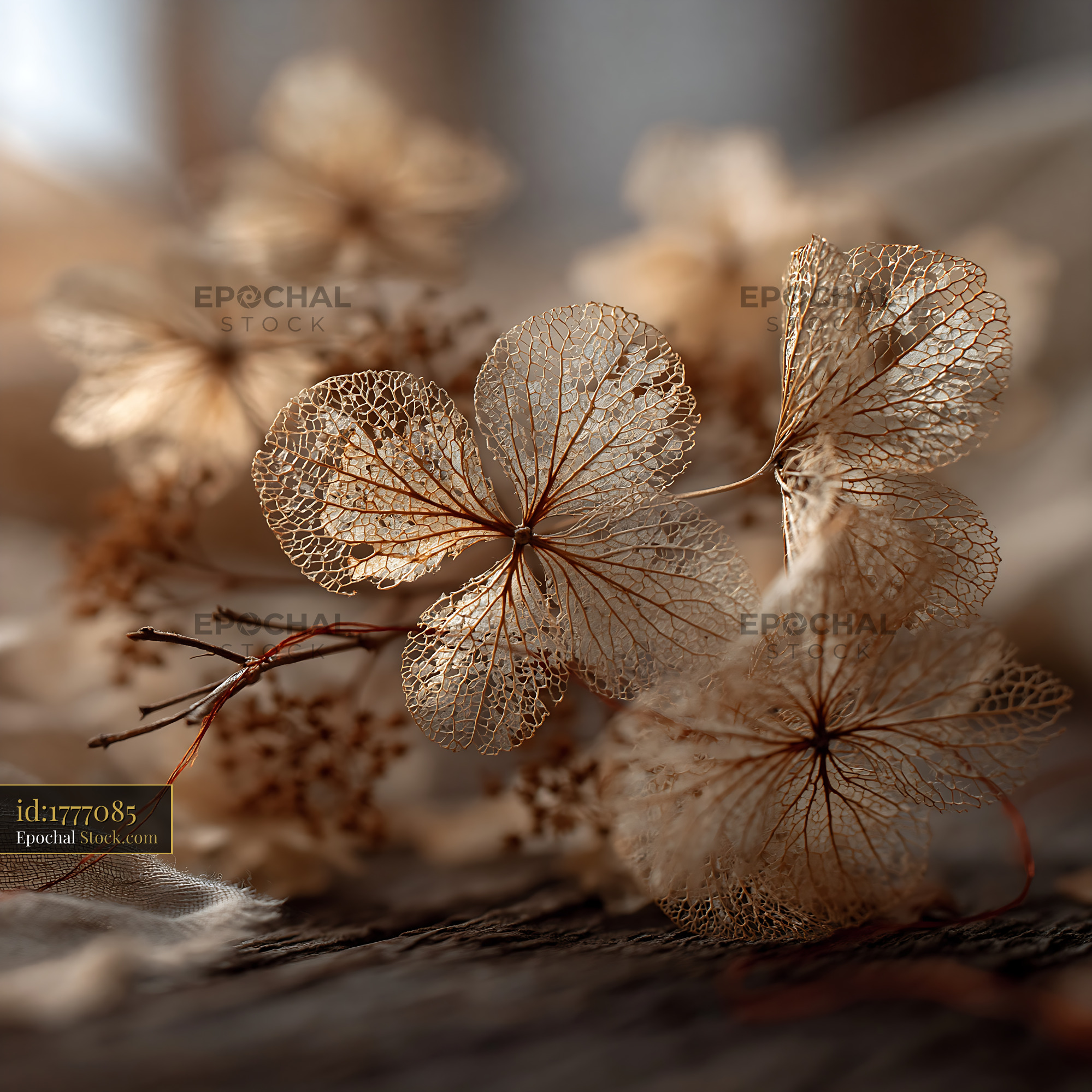 Dry hydrangea bouquet on a rustic wooden table - stock photo
