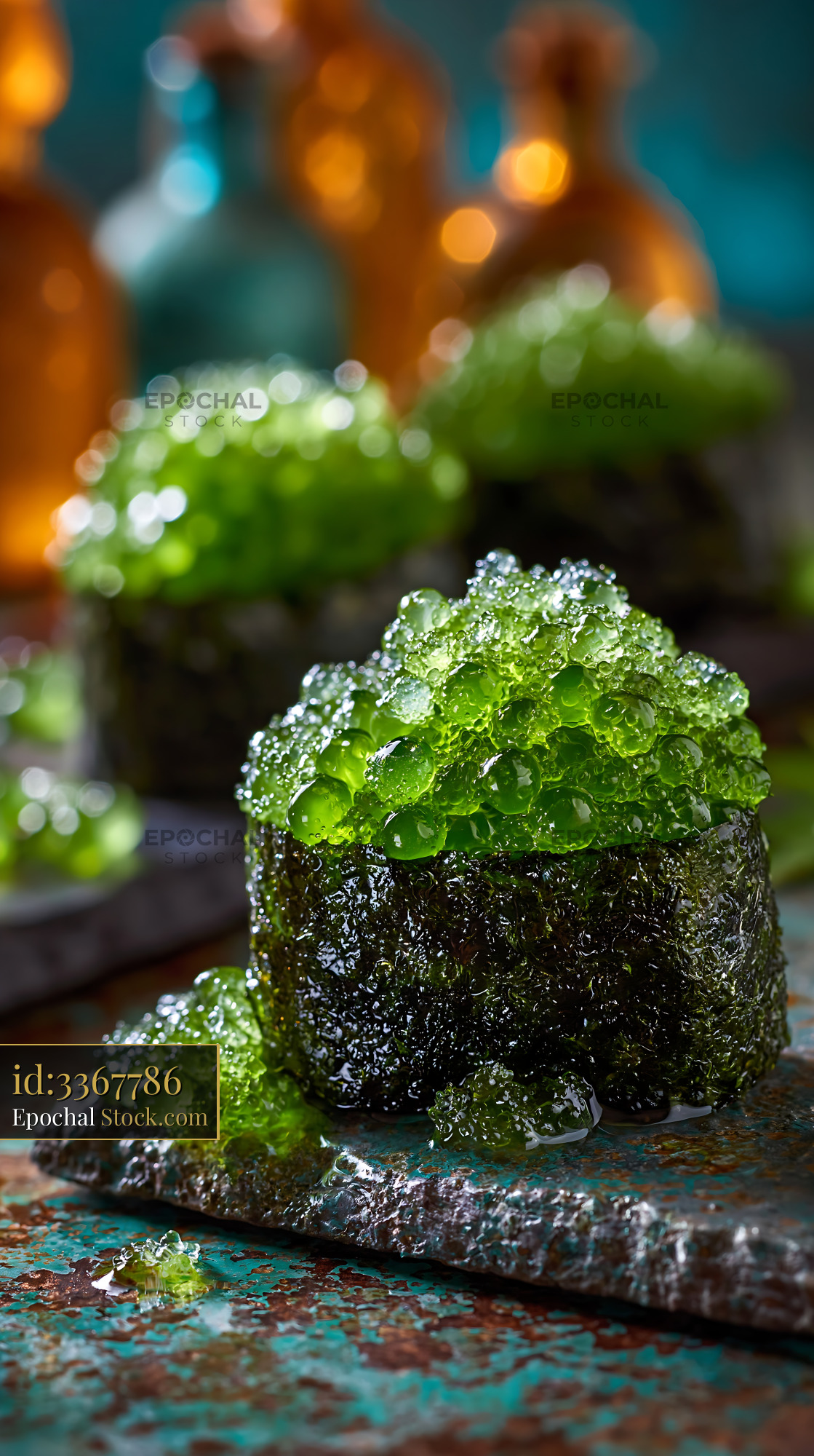 Umi budo sushi gunkan topped with vibrant green sea grapes - stock photo
