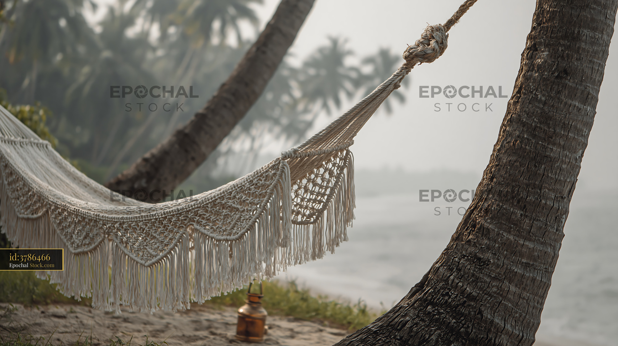 White macrame hammock between palm trees on a misty tropical beach - stock photo