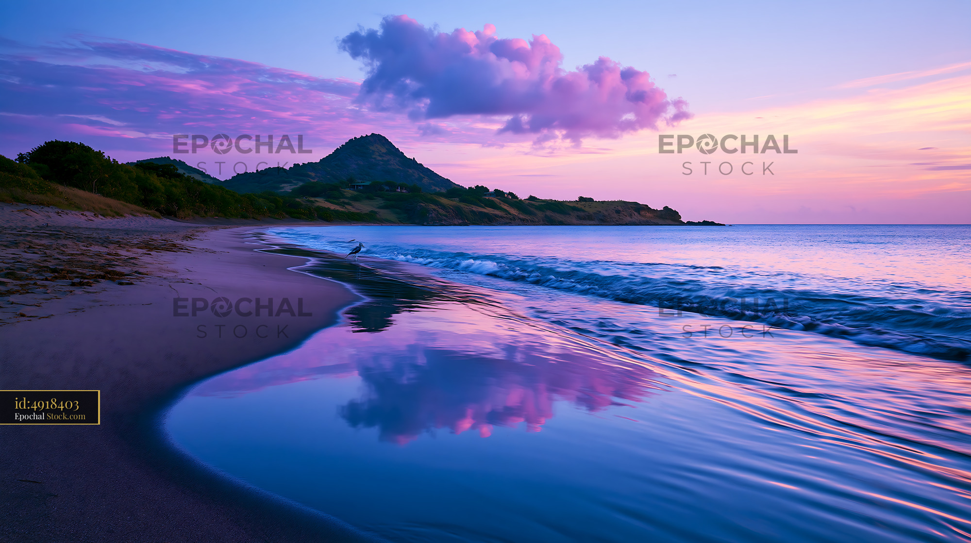 Tropical beach at purple twilight with mountain and bird reflection - stock photo