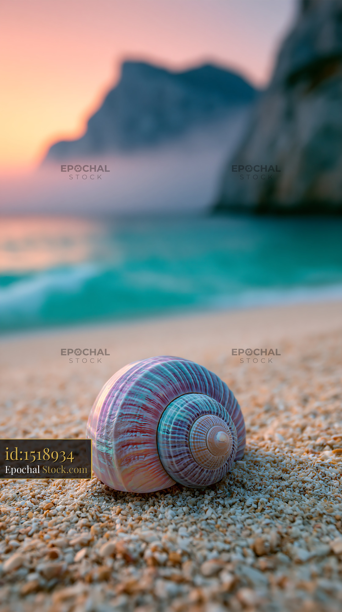 Iridescent seashell on a pebble beach at sunset in a tropical cove - stock photo