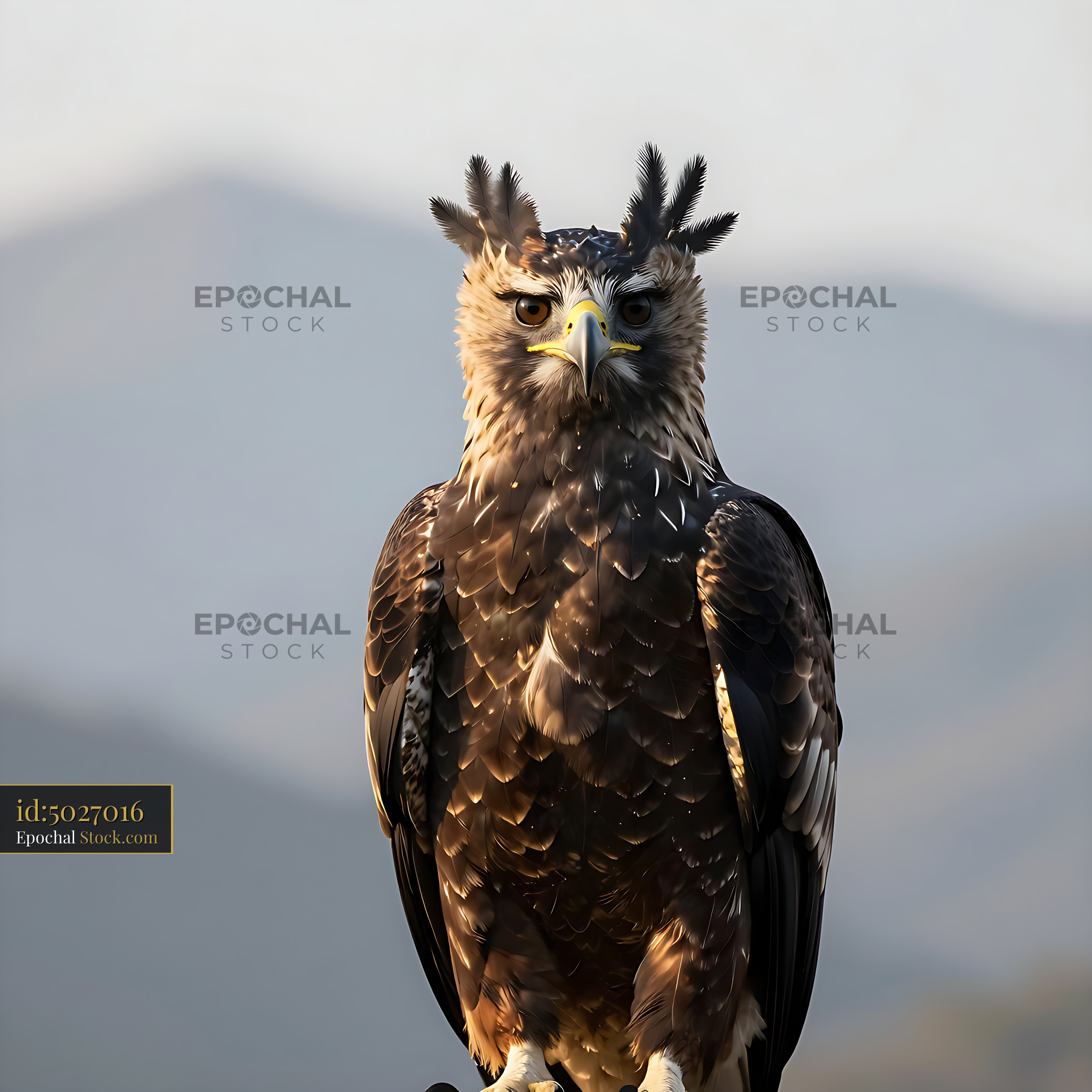 Majestic harpy eagle perched against a mountain backdrop - stock photo