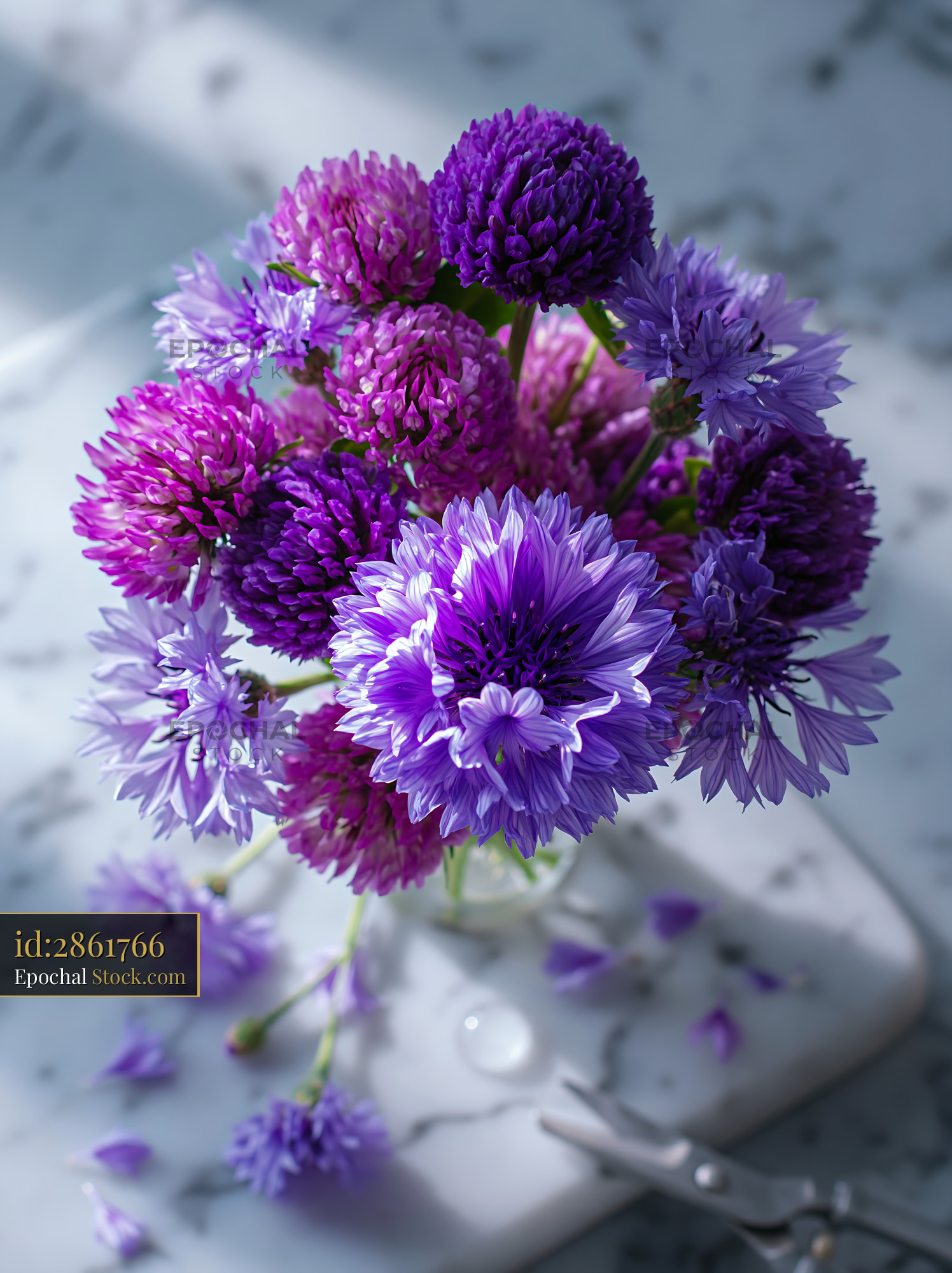 Purple cornflowers and clover bouquet on a white marble tabletop - stock photo