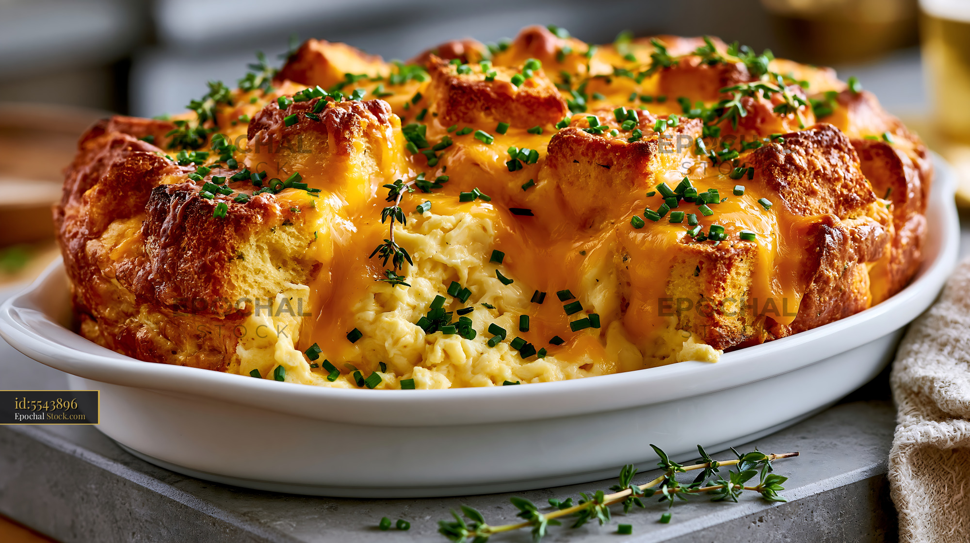 Savory breakfast strata with melted cheddar cheese and fresh herbs - stock photo