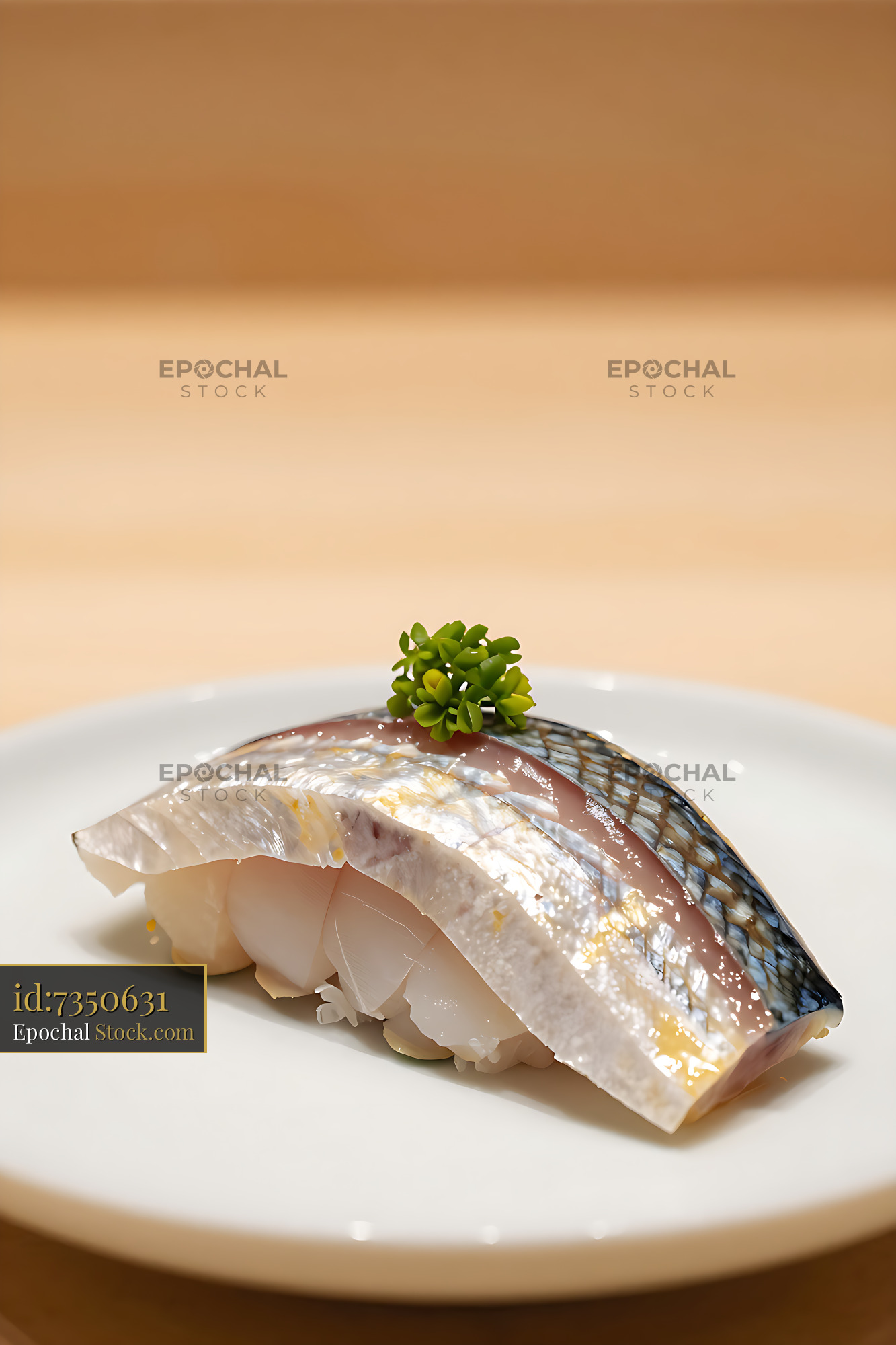 Fresh Battera sushi with mackerel and sprout on a minimalist plate - stock photo