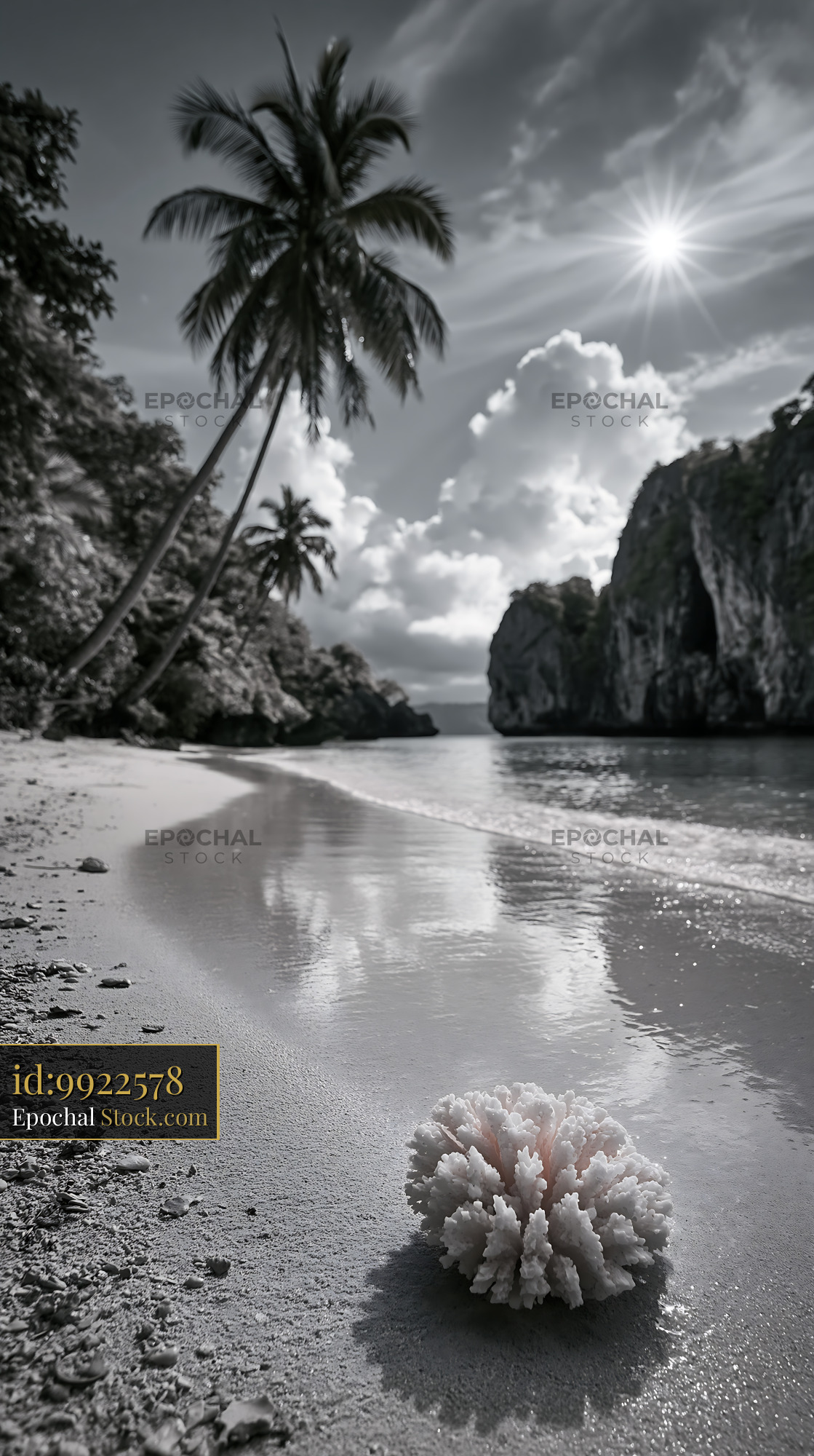 Coral on a remote white sand beach with palm trees and limestone cliff - stock photo