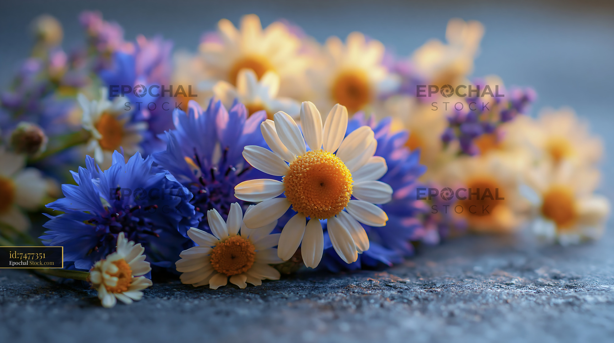 White daisies and blue cornflowers on a textured stone tabletop
