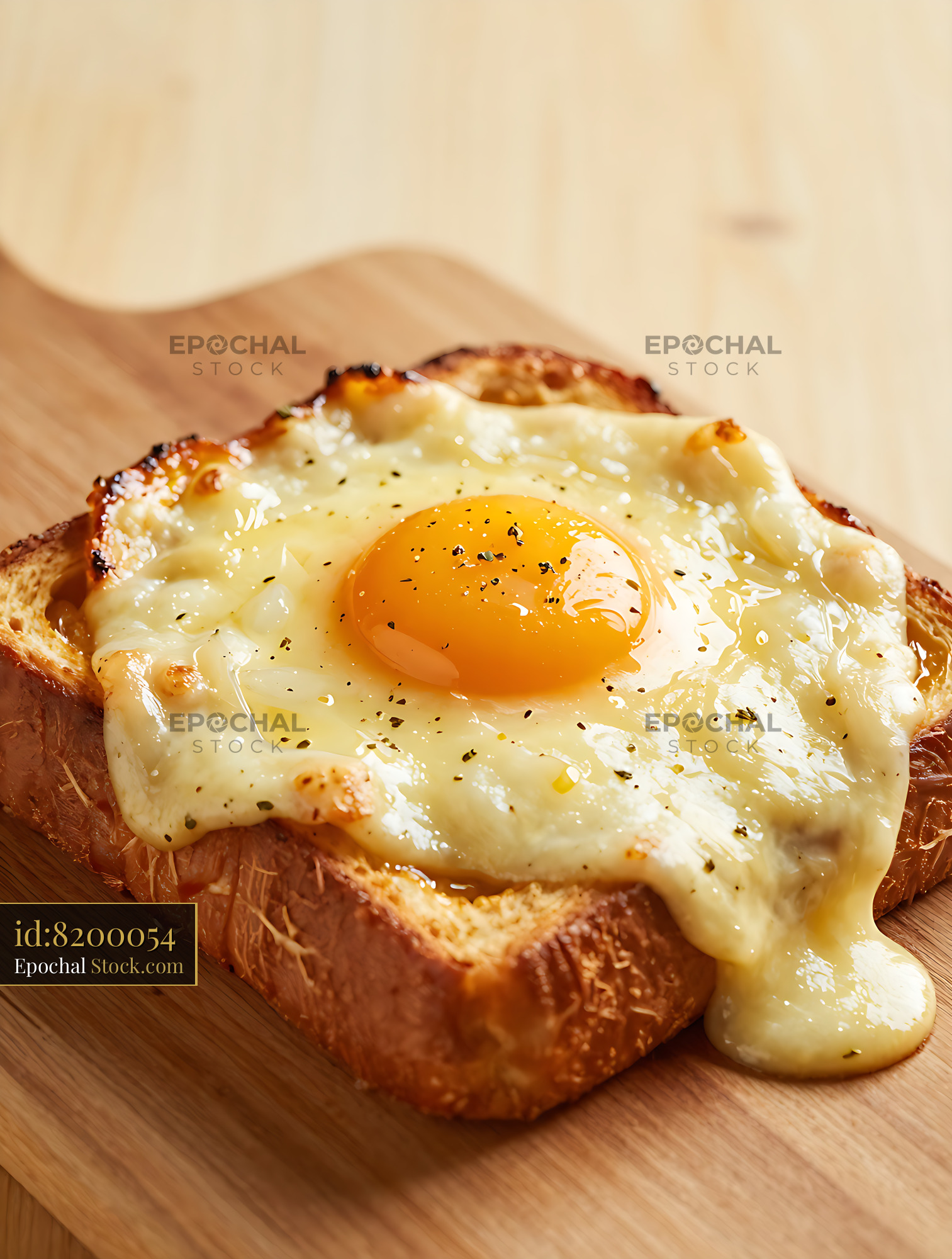 Croque madame forestiere with melted cheese and sunny side up egg - stock photo