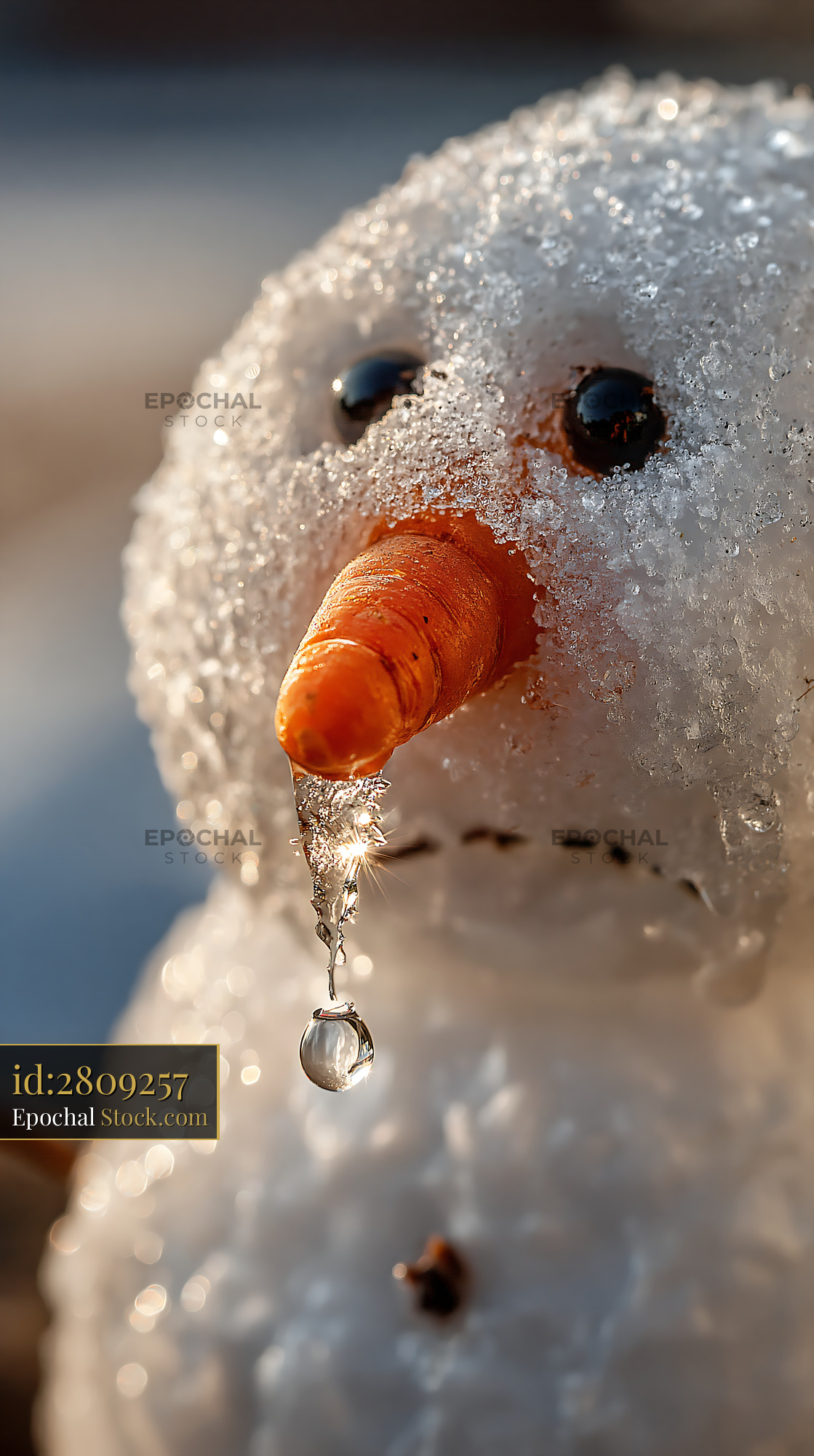 Melting snowman with carrot nose dripping in warm spring sun - stock photo