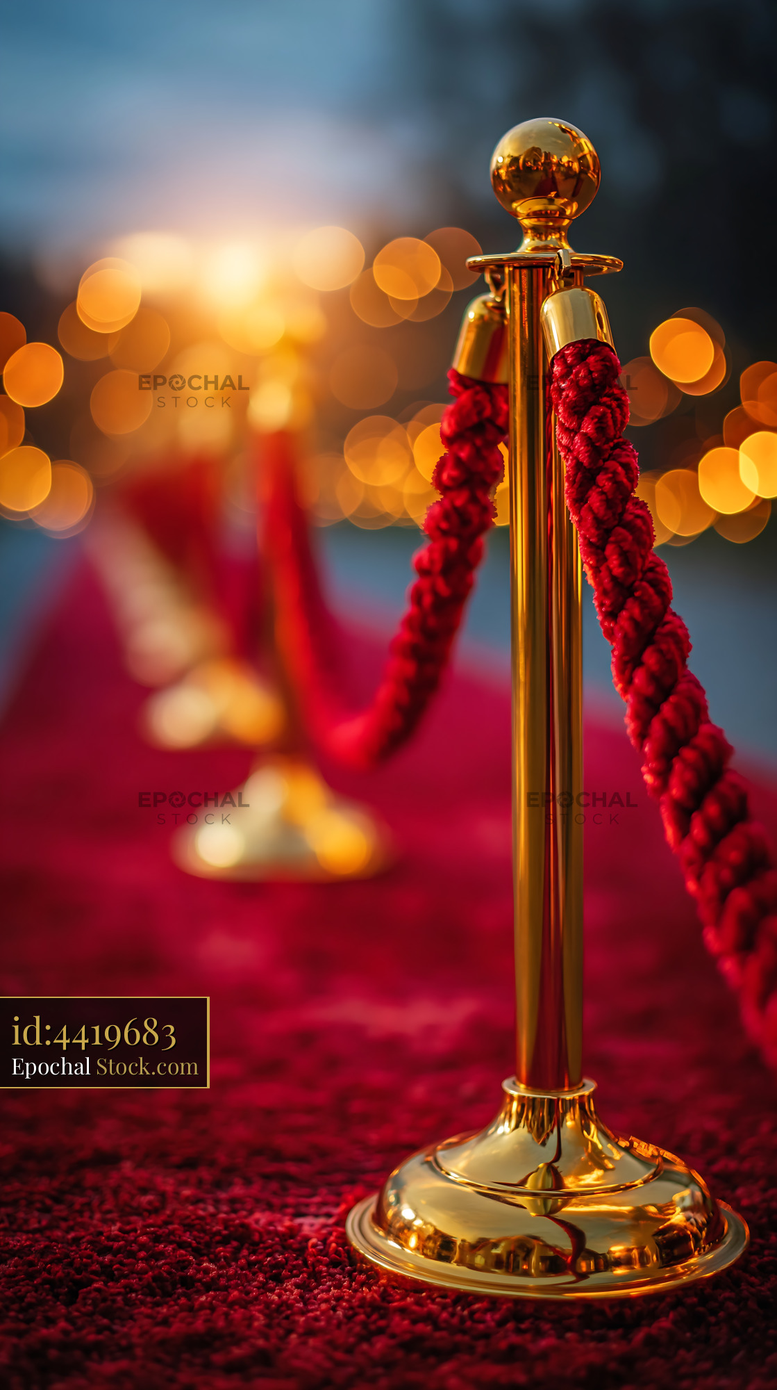 Red carpet with gold stanchions for a prestigious award ceremony - stock photo