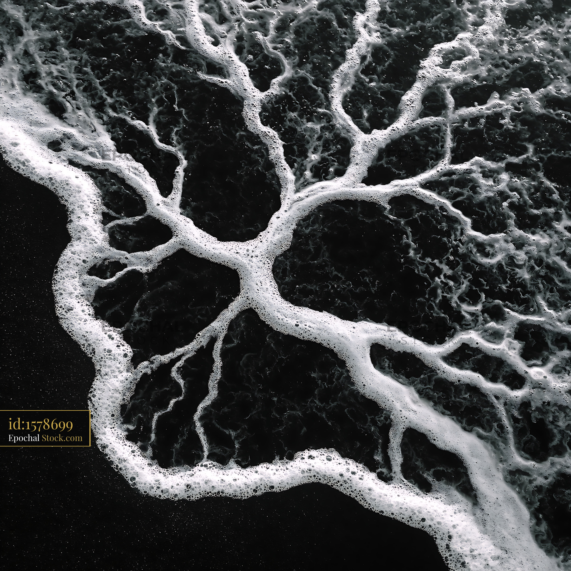 Abstract sea foam patterns on black sand beach resembling a tree - stock photo