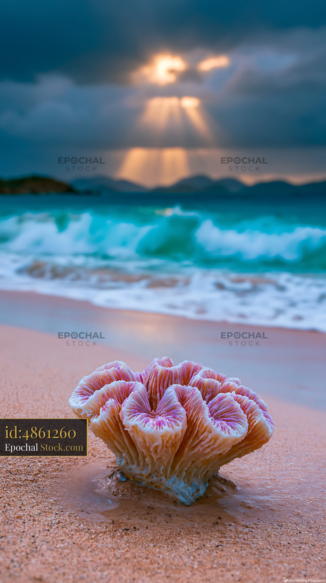 Pink brain coral on sandy beach with sun rays through clouds
