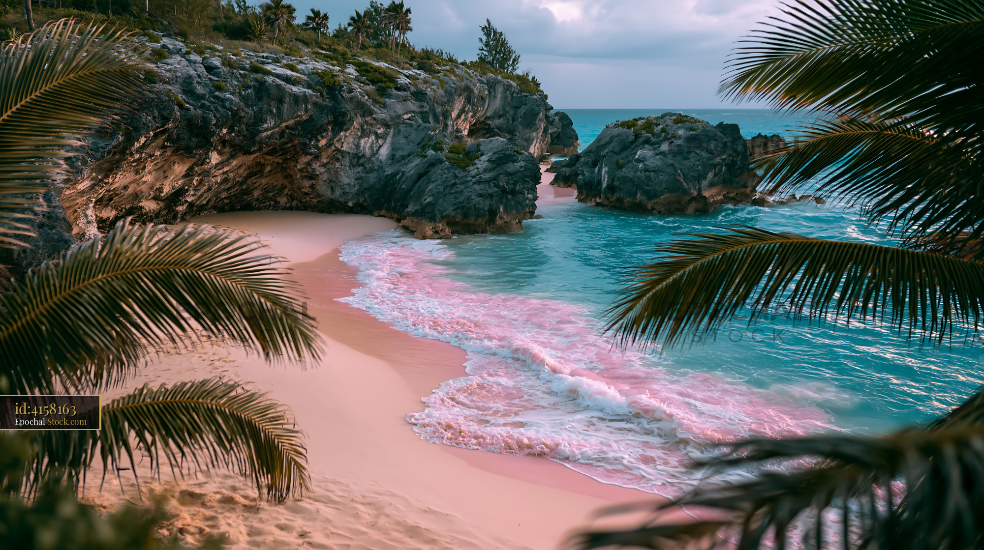 Tropical pink sand beach with turquoise water framed by palm trees - stock photo