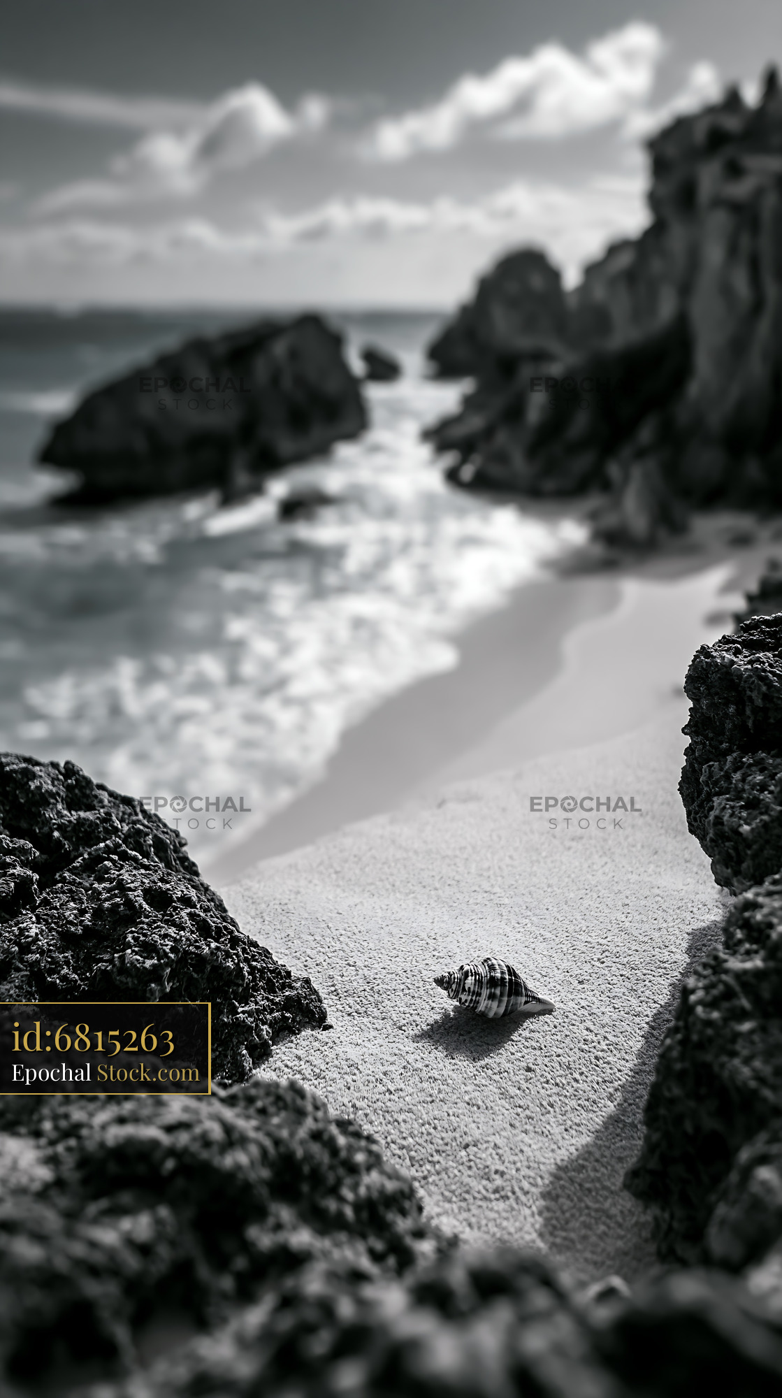 Seashell on a sandy beach at a rocky cove in black and white - stock photo
