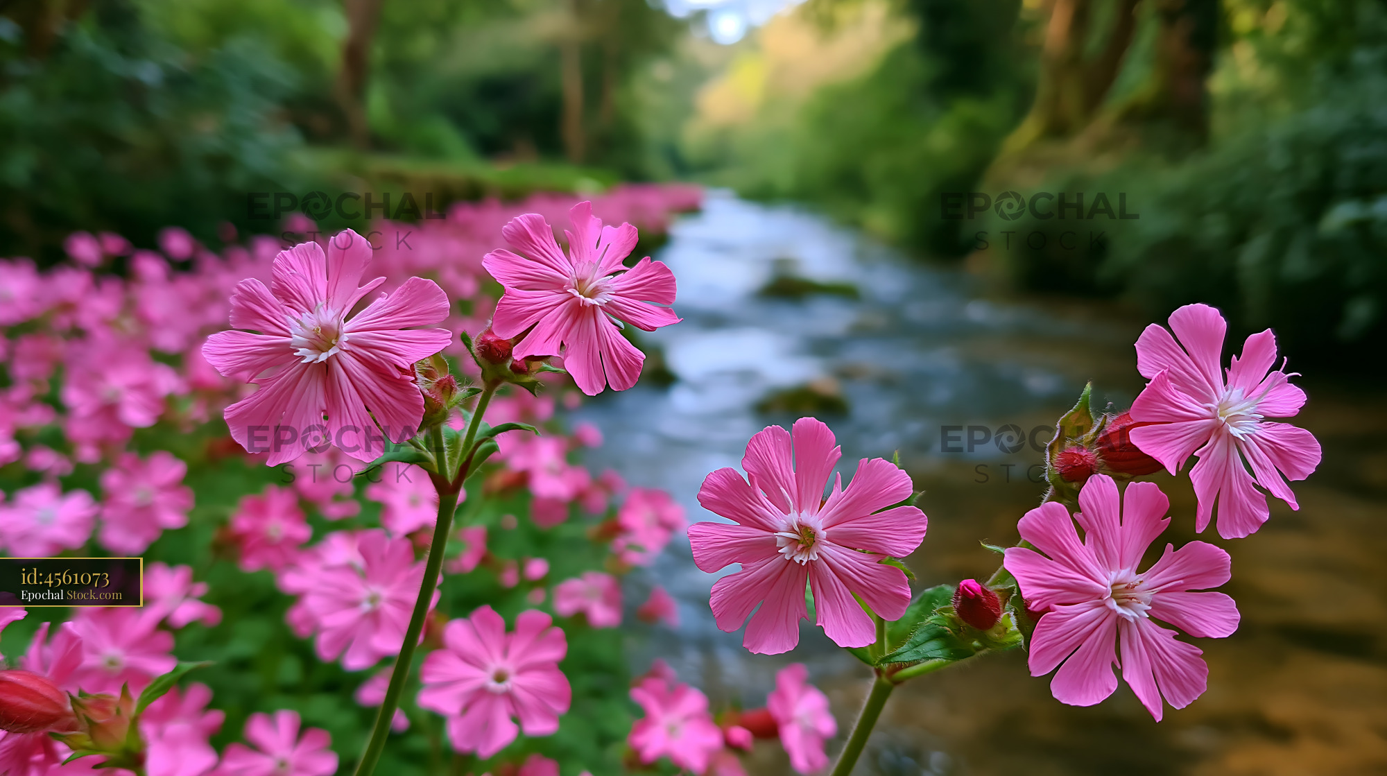 Indian marigold harvest along a scenic river in a lush forest - stock photo