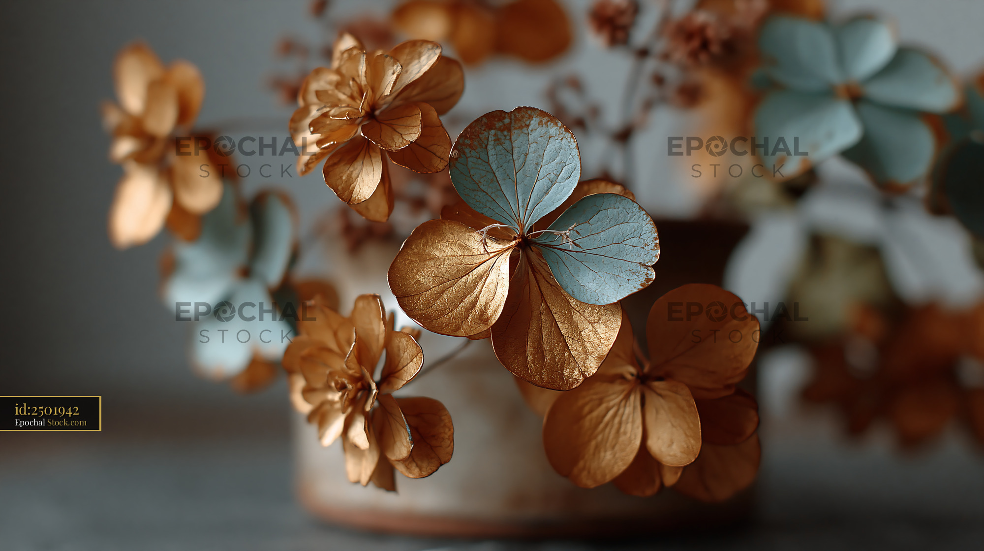 Dried hydrangea flowers in gold and teal with winter frost atmosphere - stock photo