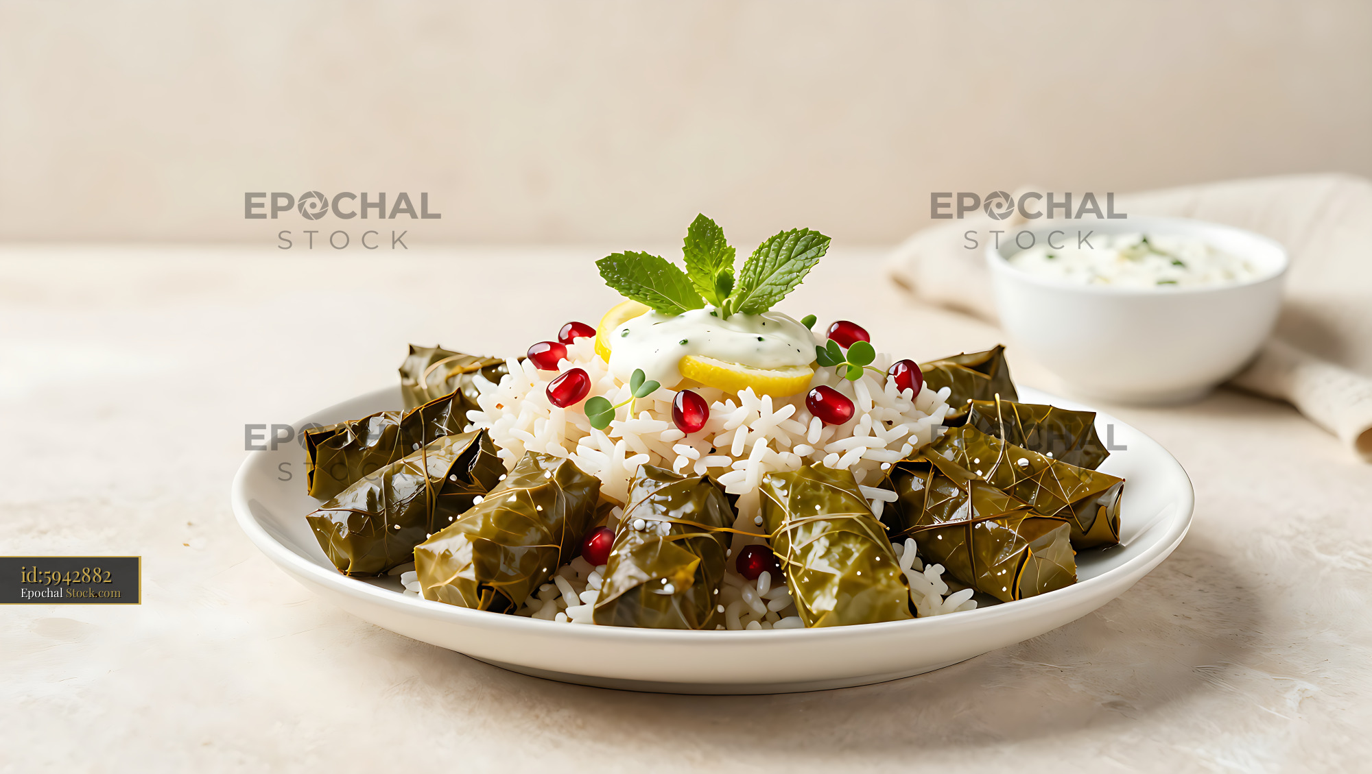 Iraqi mahshi salad with pomegranate and stuffed grape leaves on rice - stock photo