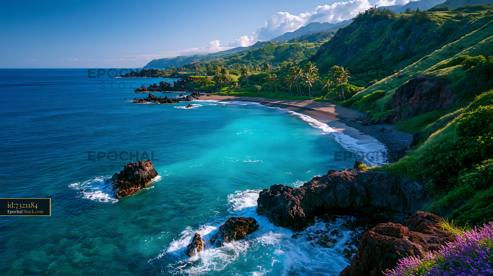 Tropical volcano coast aerial view with black sand beach and lush clif - stock photo
