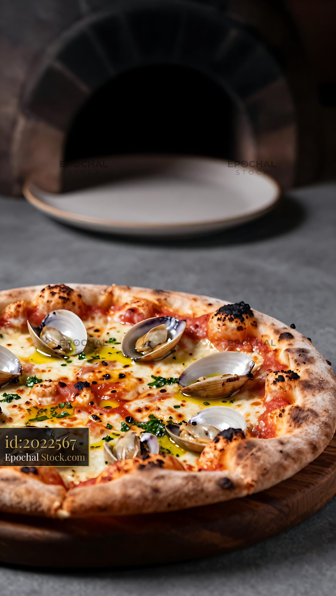 Freshly baked New Haven style clam pizza with charred crust and herbs - stock photo