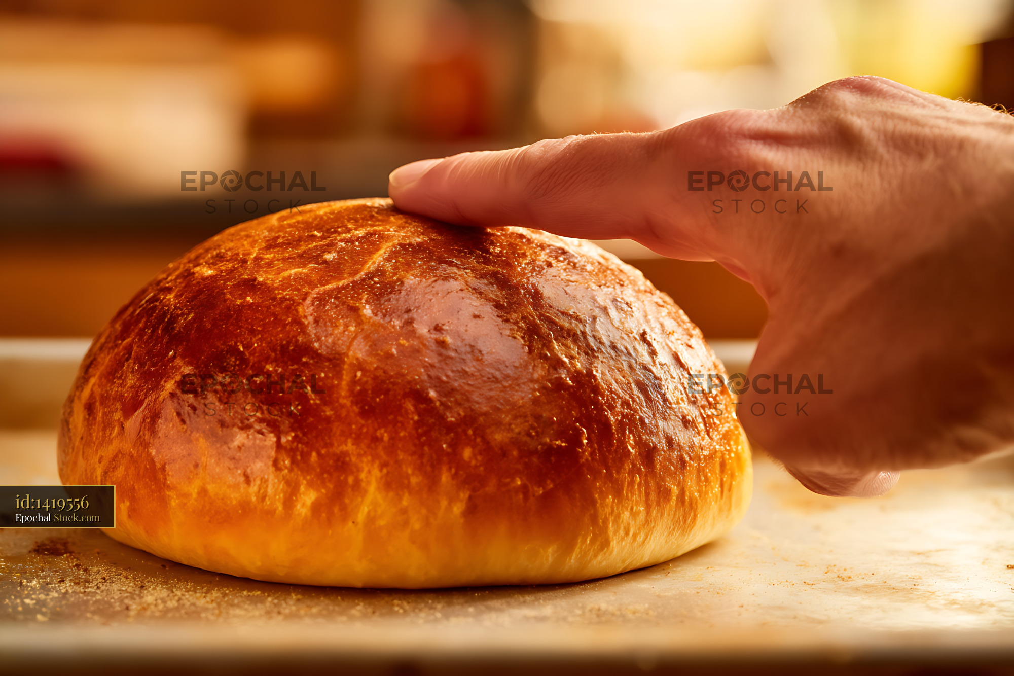 Fresh Artisan Bread Roll with Crispy Crust - stock photo